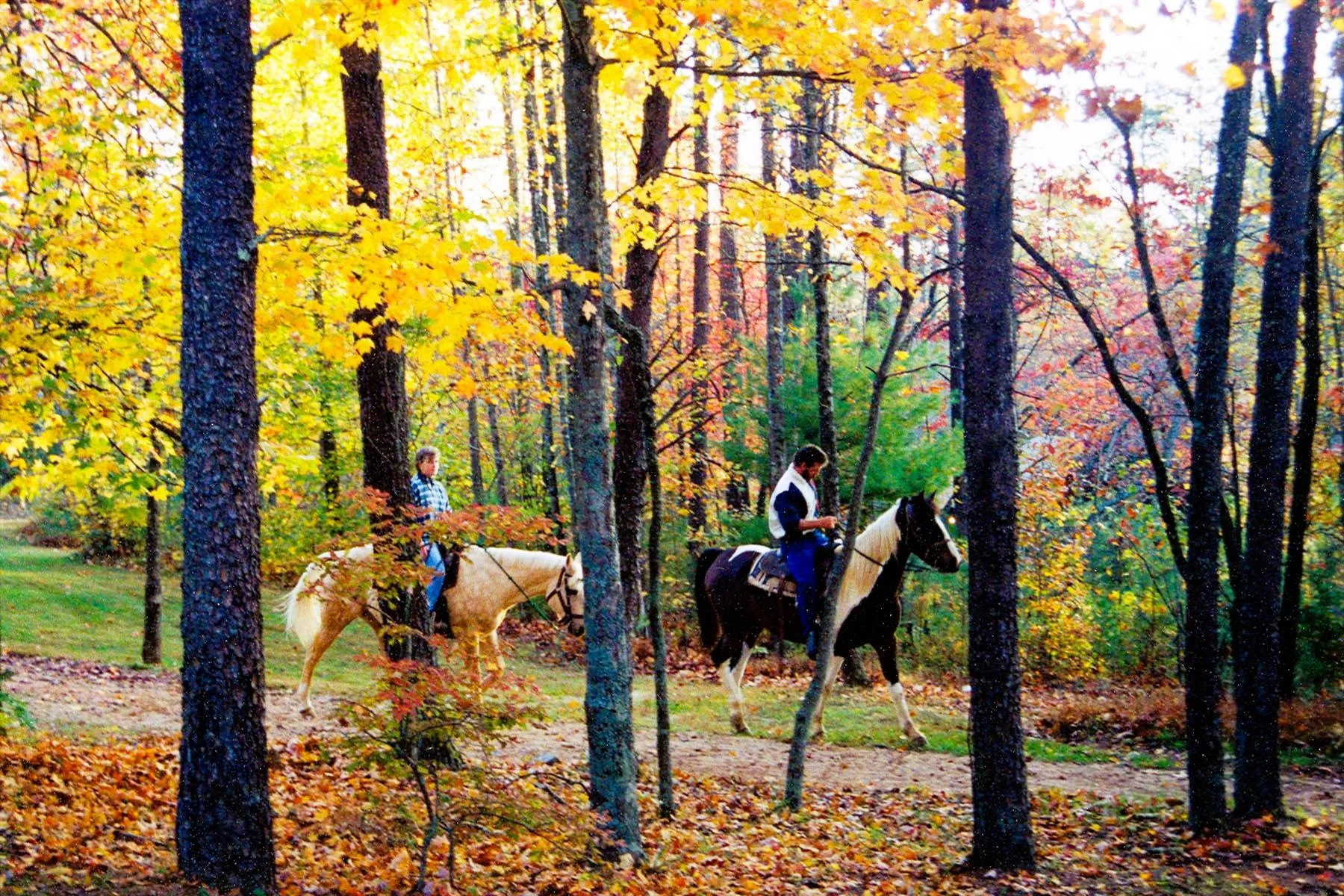Two people riding horses through a forest with autumn leaves, yellow and orange foliage, and tall trees.