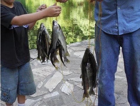 Go fishing! Free equipement available.