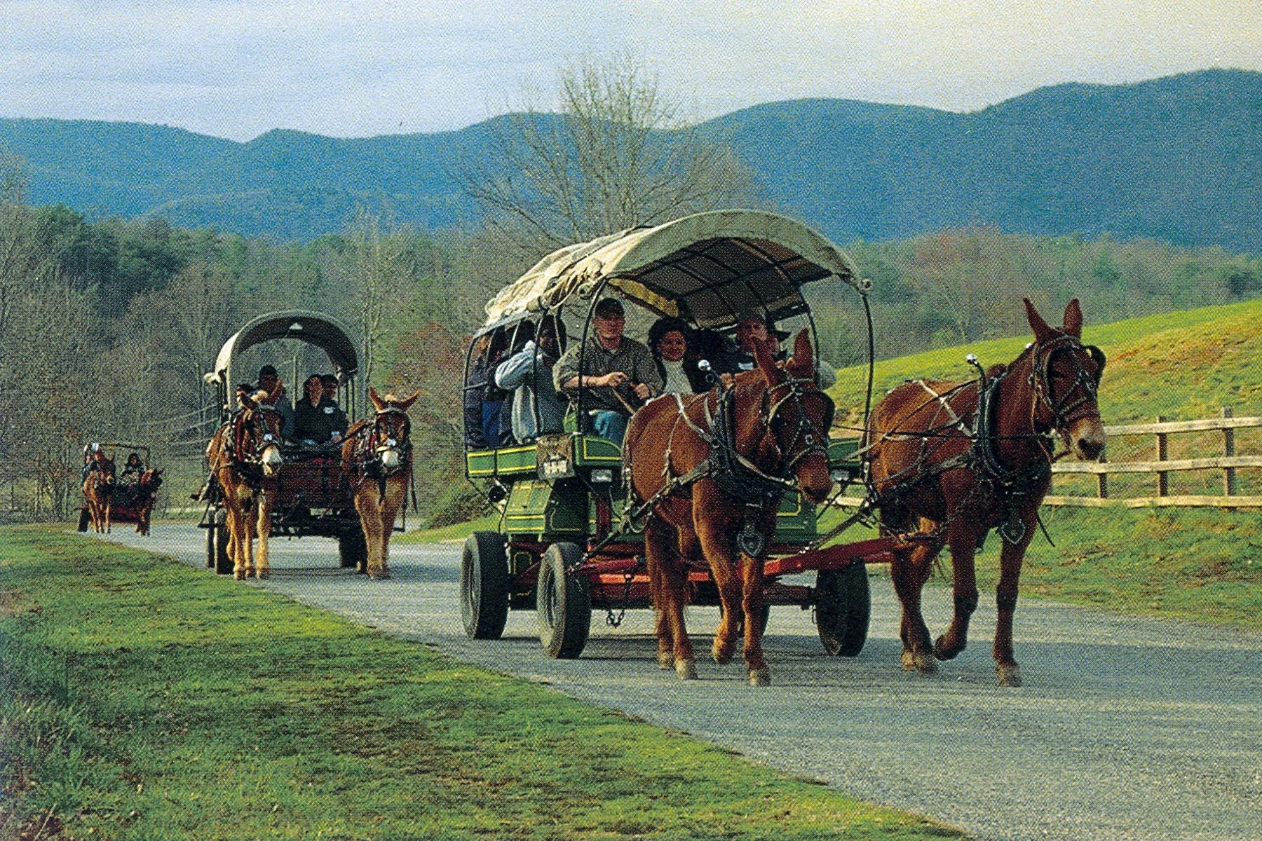 Three horse-drawn carriages with passengers riding through a grassy park with mountains in the background.