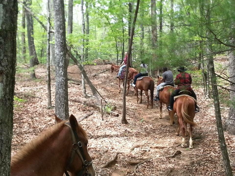 Group of people riding horses on a forest trail surrounded by trees and fallen leaves.