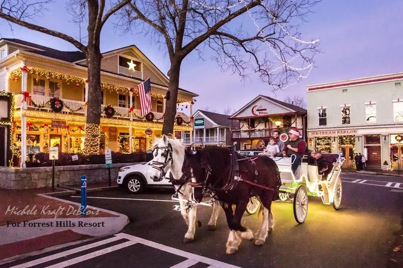 Horse drawn carriage in front of shops on the Dahlonega square at Christmas