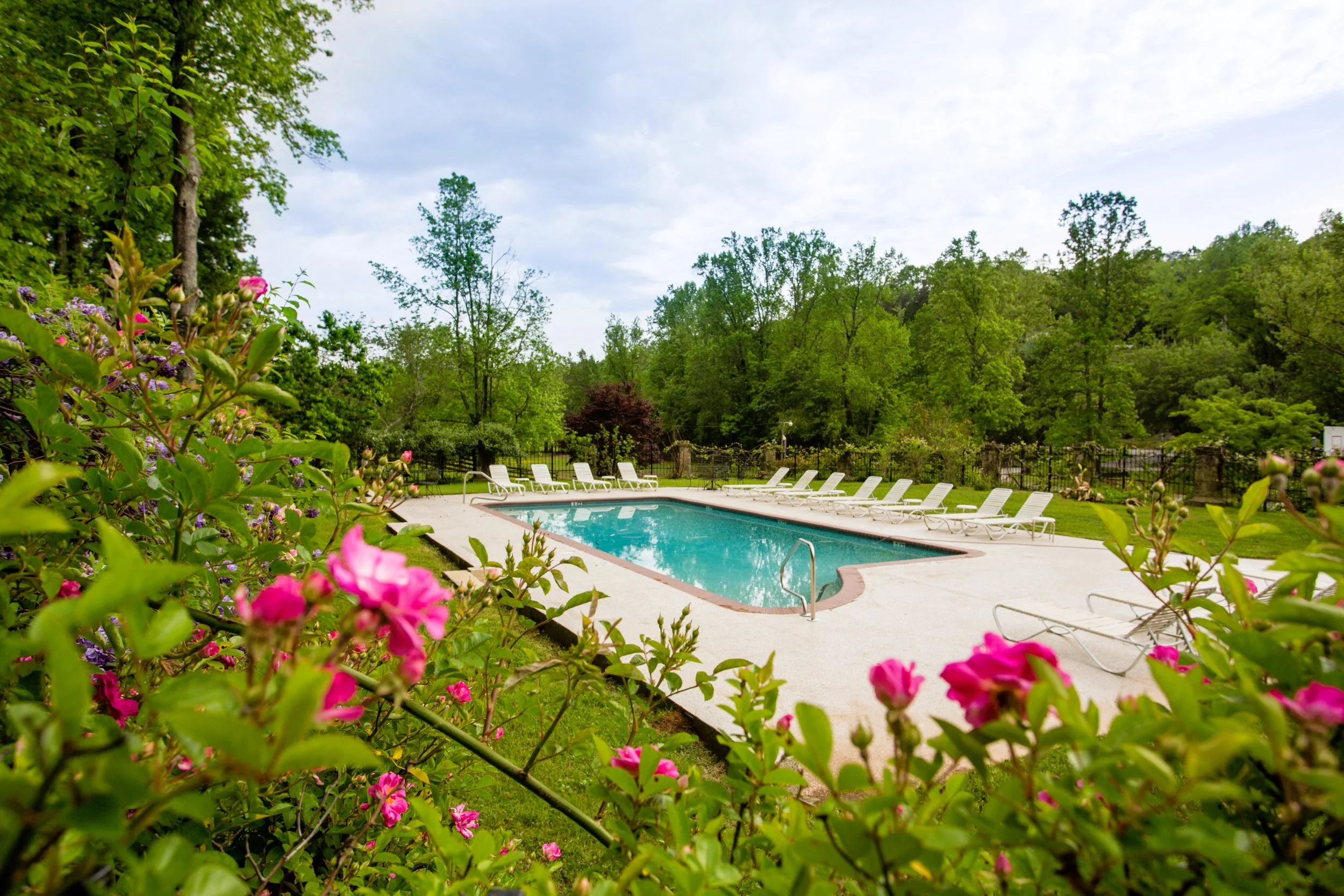 A swimming pool in a backyard surrounded by lounge chairs, with a lush green forest and cloudy sky in the background and pink flowers in the foreground.