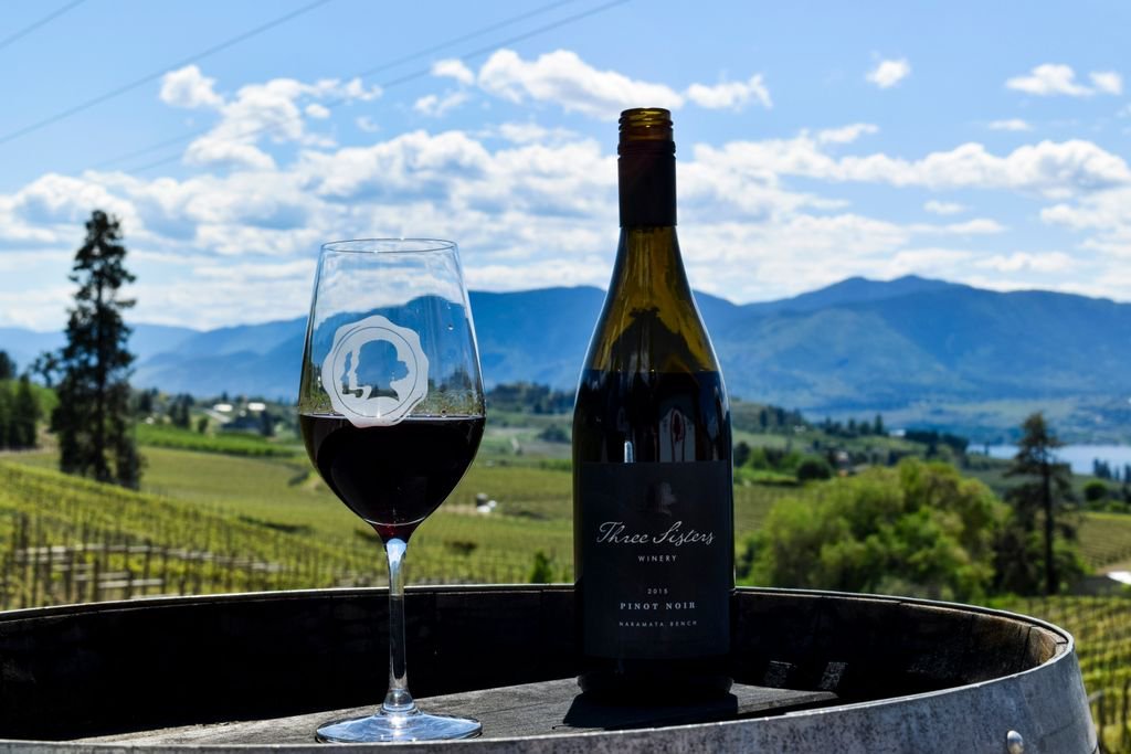 A glass of red wine and a wine bottle on a barrel against a scenic vineyard with hills and mountains in the background.