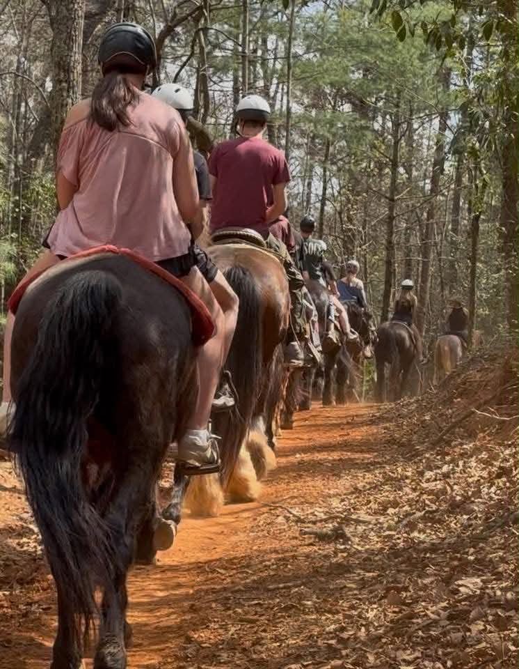 Guided horseback rides in Dahlonega, GA