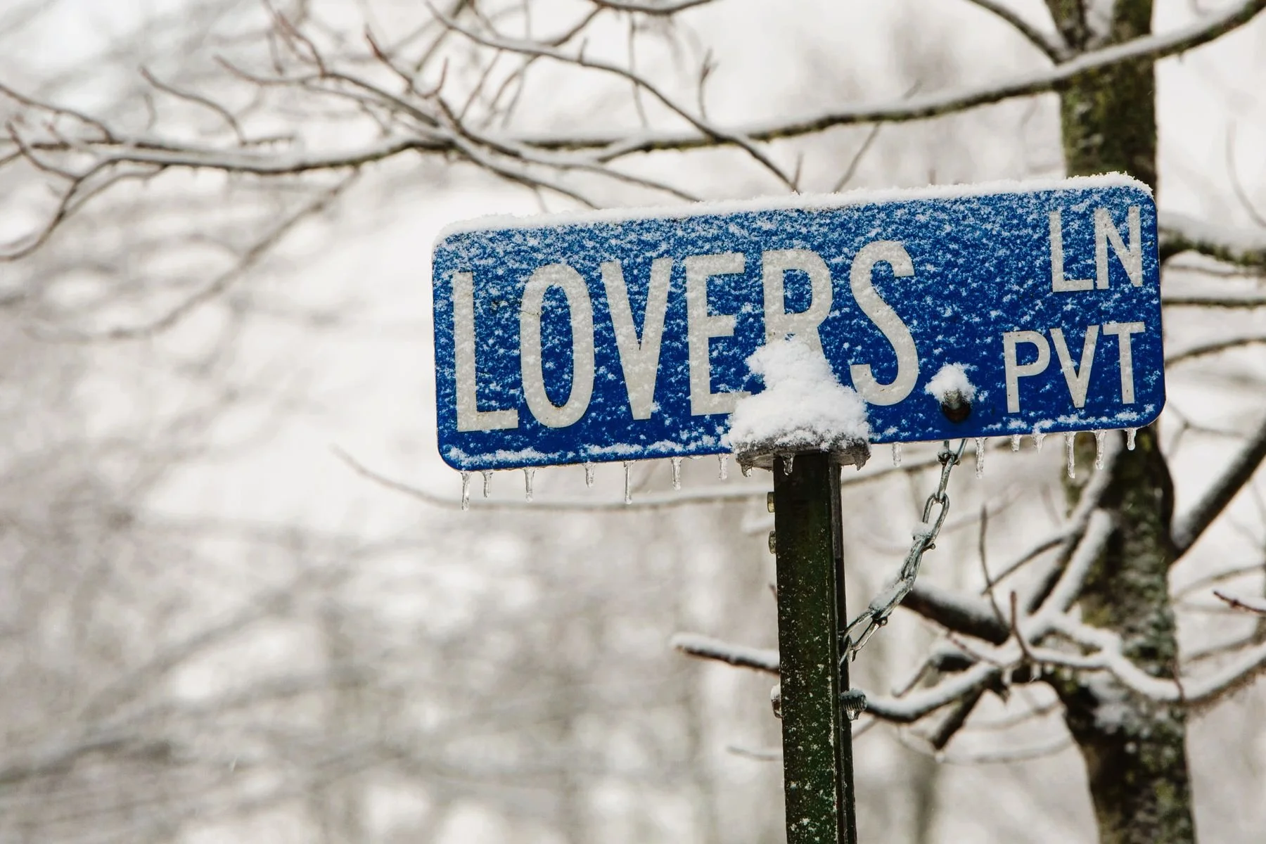 Lovers Lane street sign with snow at Forrest Hills Resort