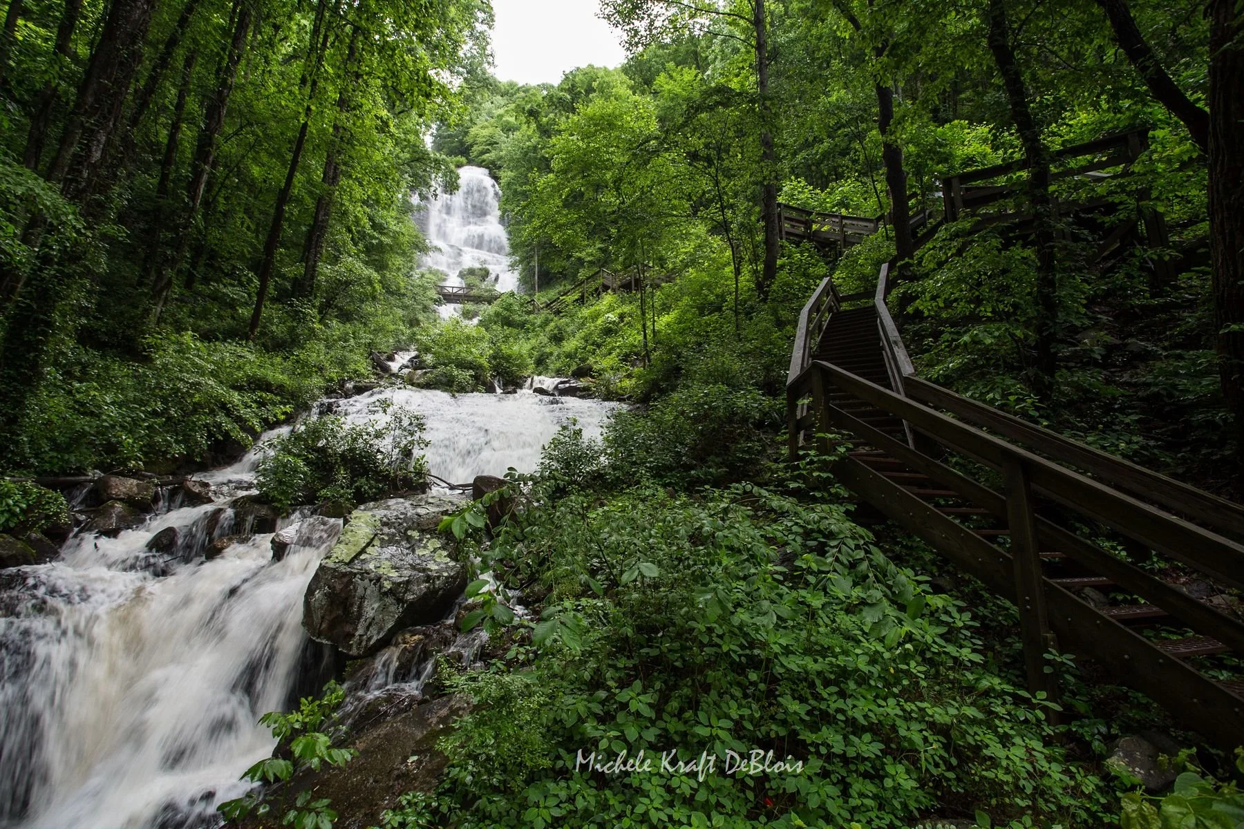 Amicalola Falls - Highest Waterfall East of the Mississippi
