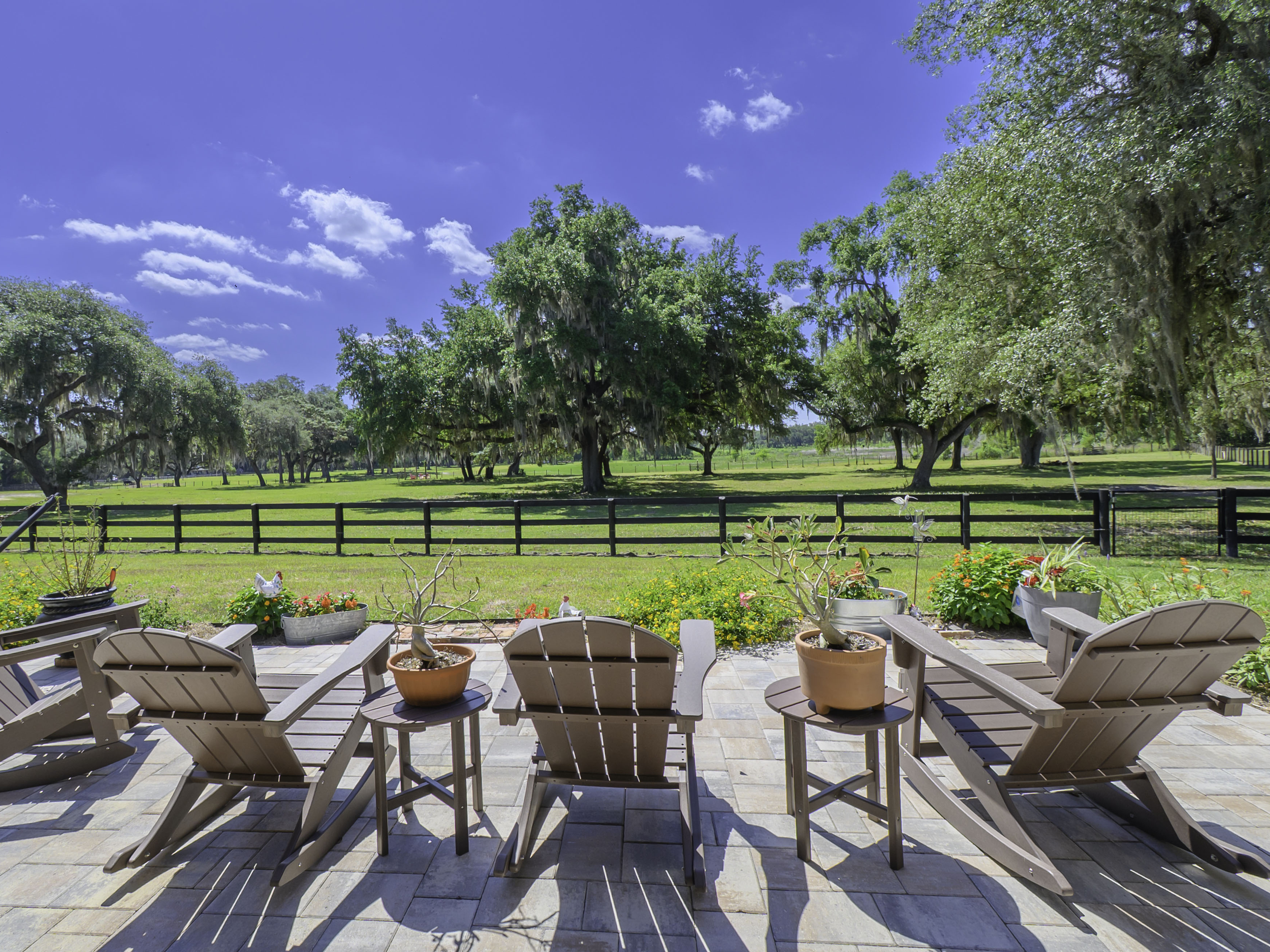 Back Yard View_2.png
