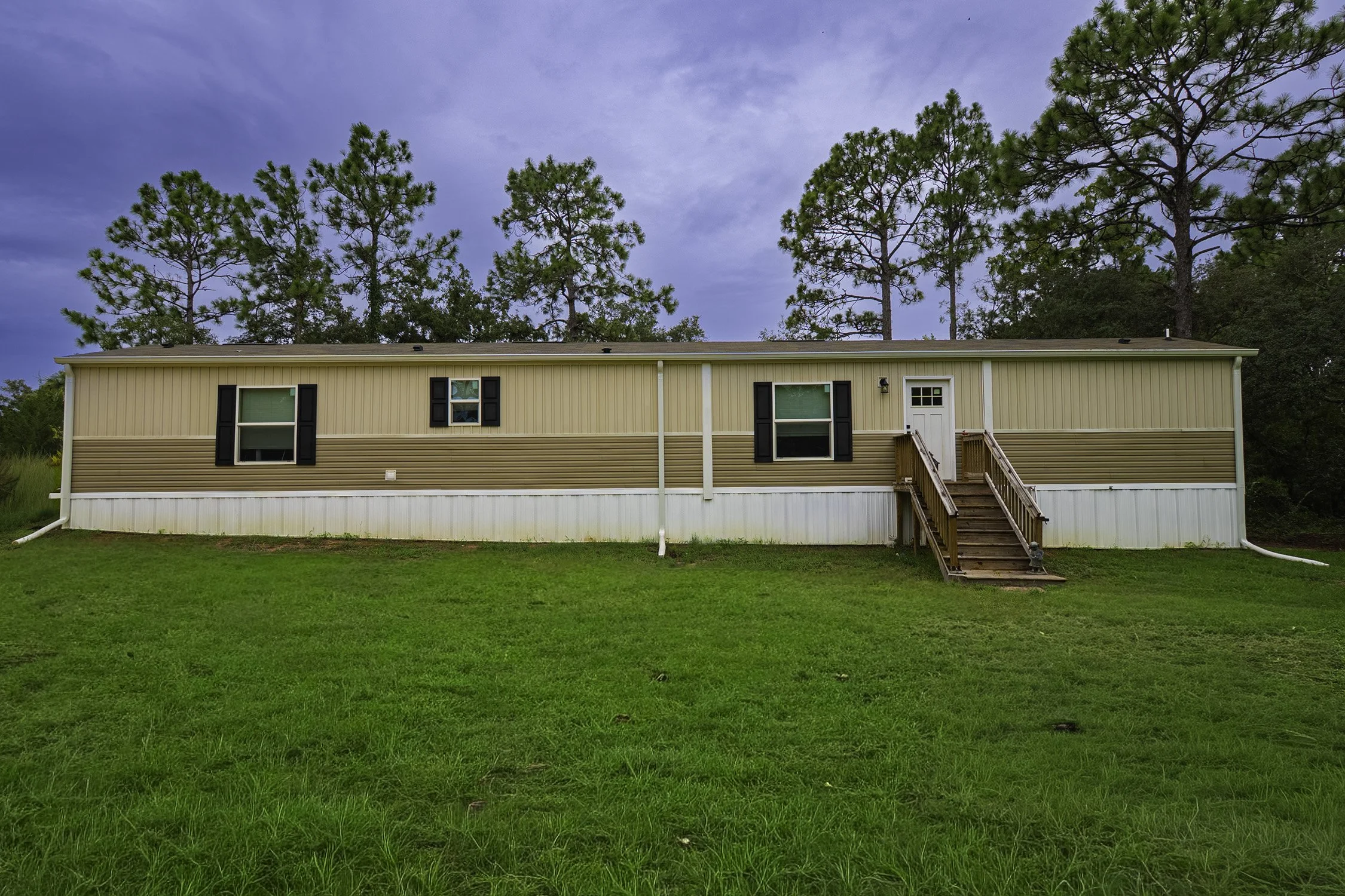 6556-Exterior_2_AI Grass.jpg
