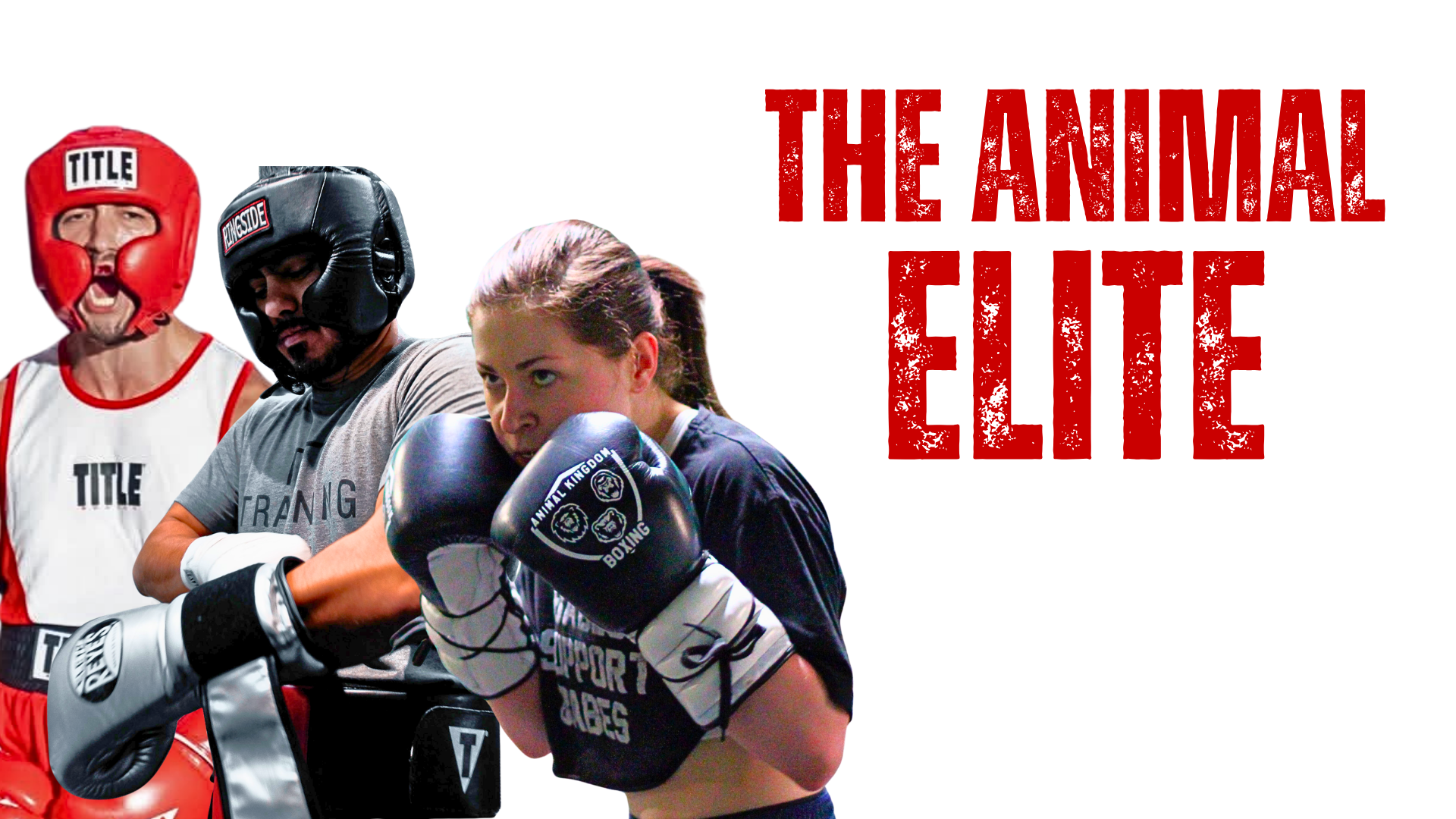 Elite Boxers for training at AKB