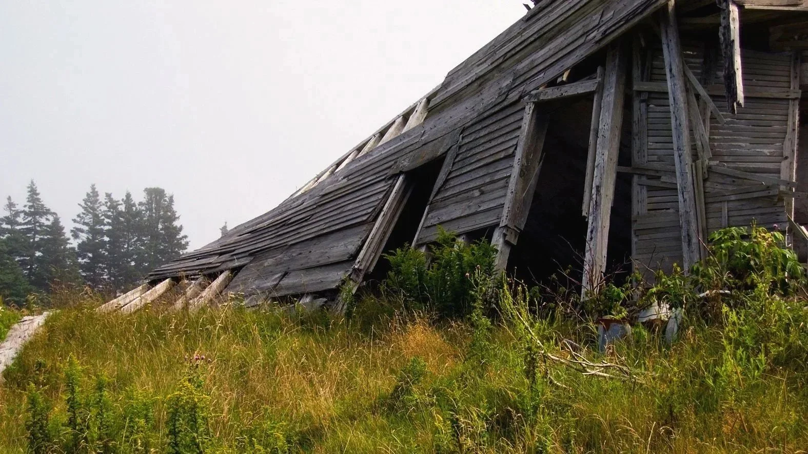 An abandoned, dilapidated wooden house in a grassy field with trees in the background.