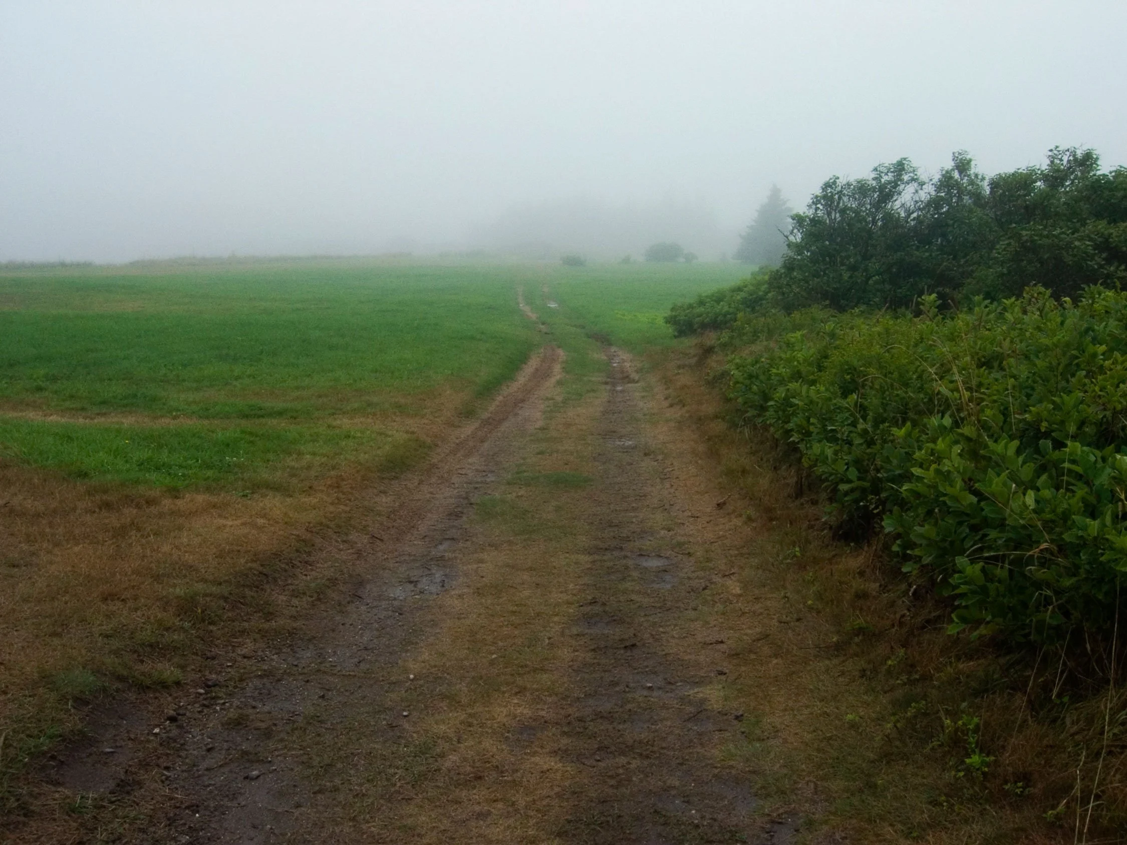 road-to-village.jpg