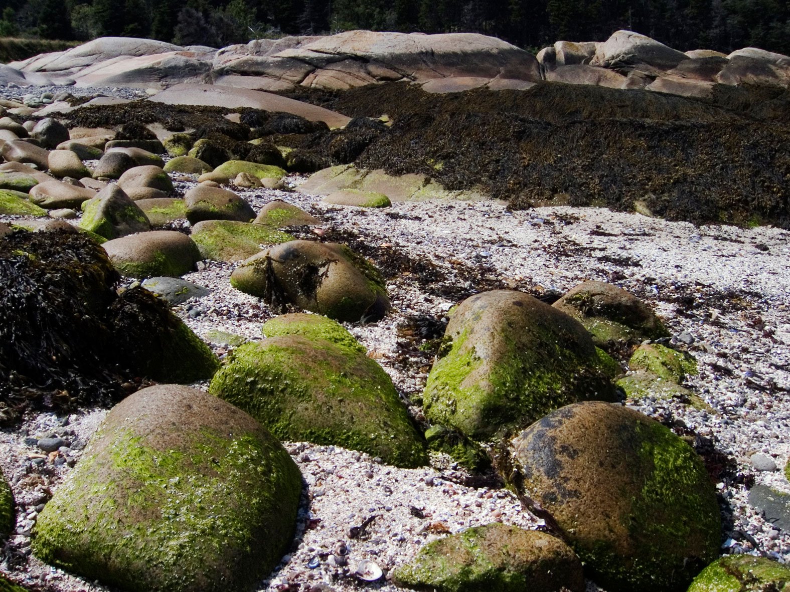 "After the Storm", Island of Criehaven, 2005