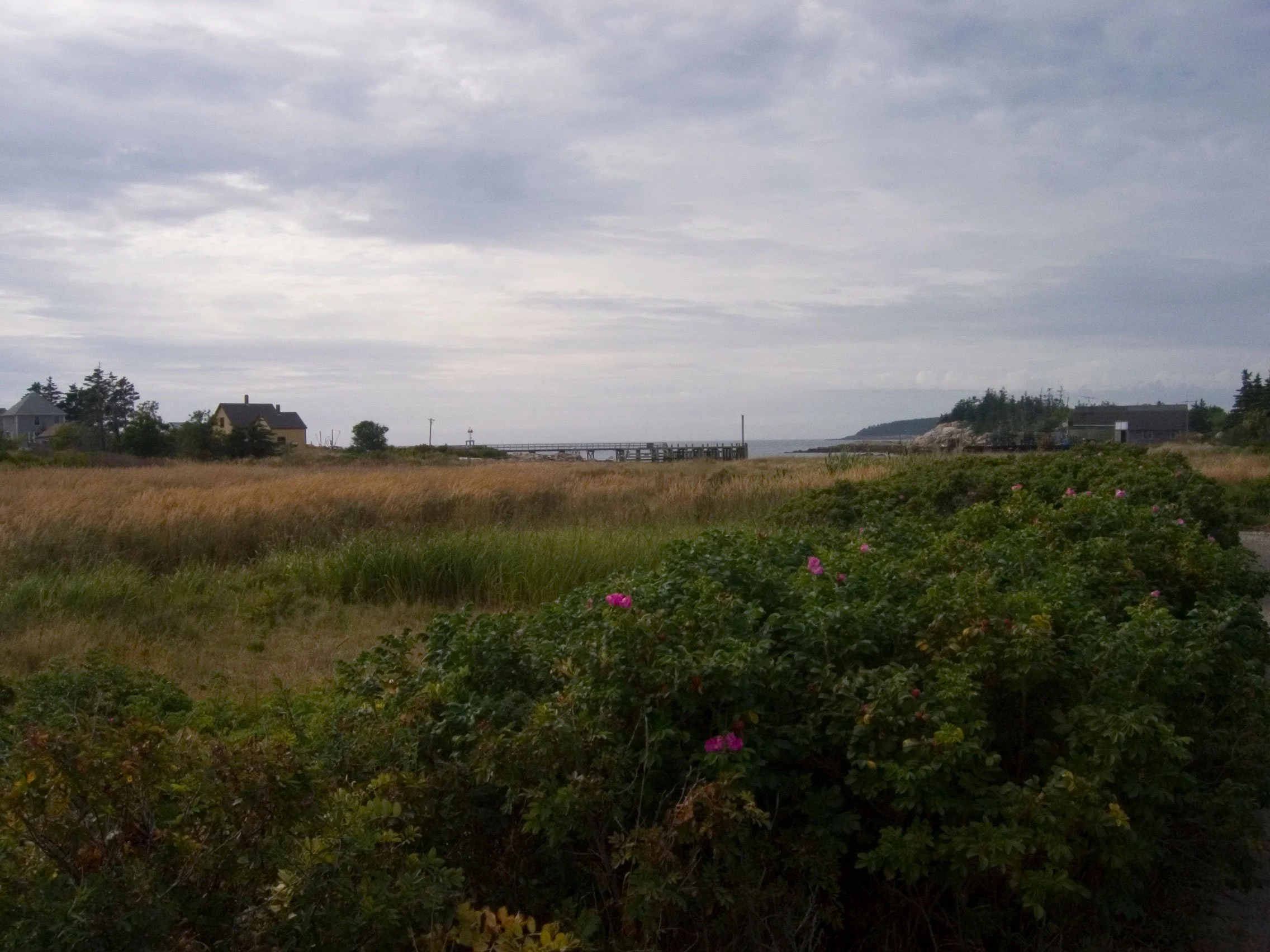 "Rose Hips Under the Clouds", Island of Criehaven, 2005