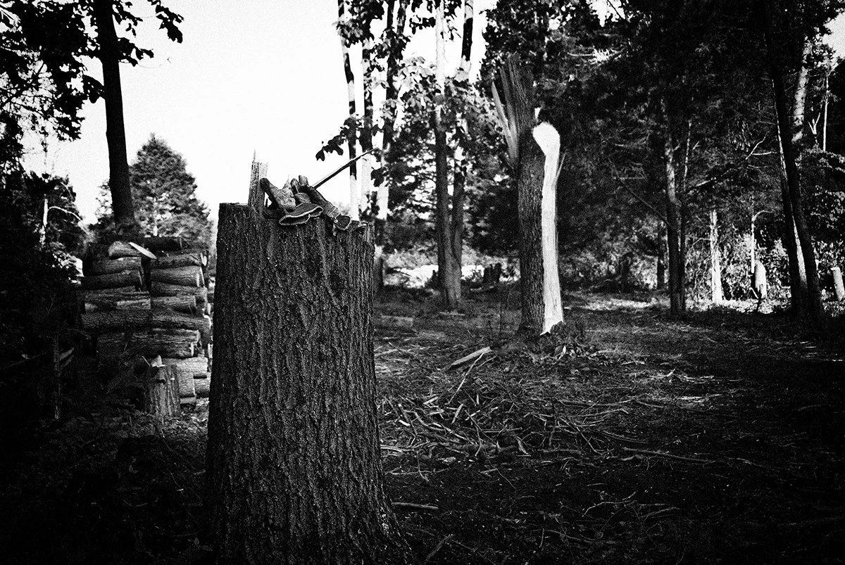 "Clearing", Bordering Bunkerhill Natural Area, 2008