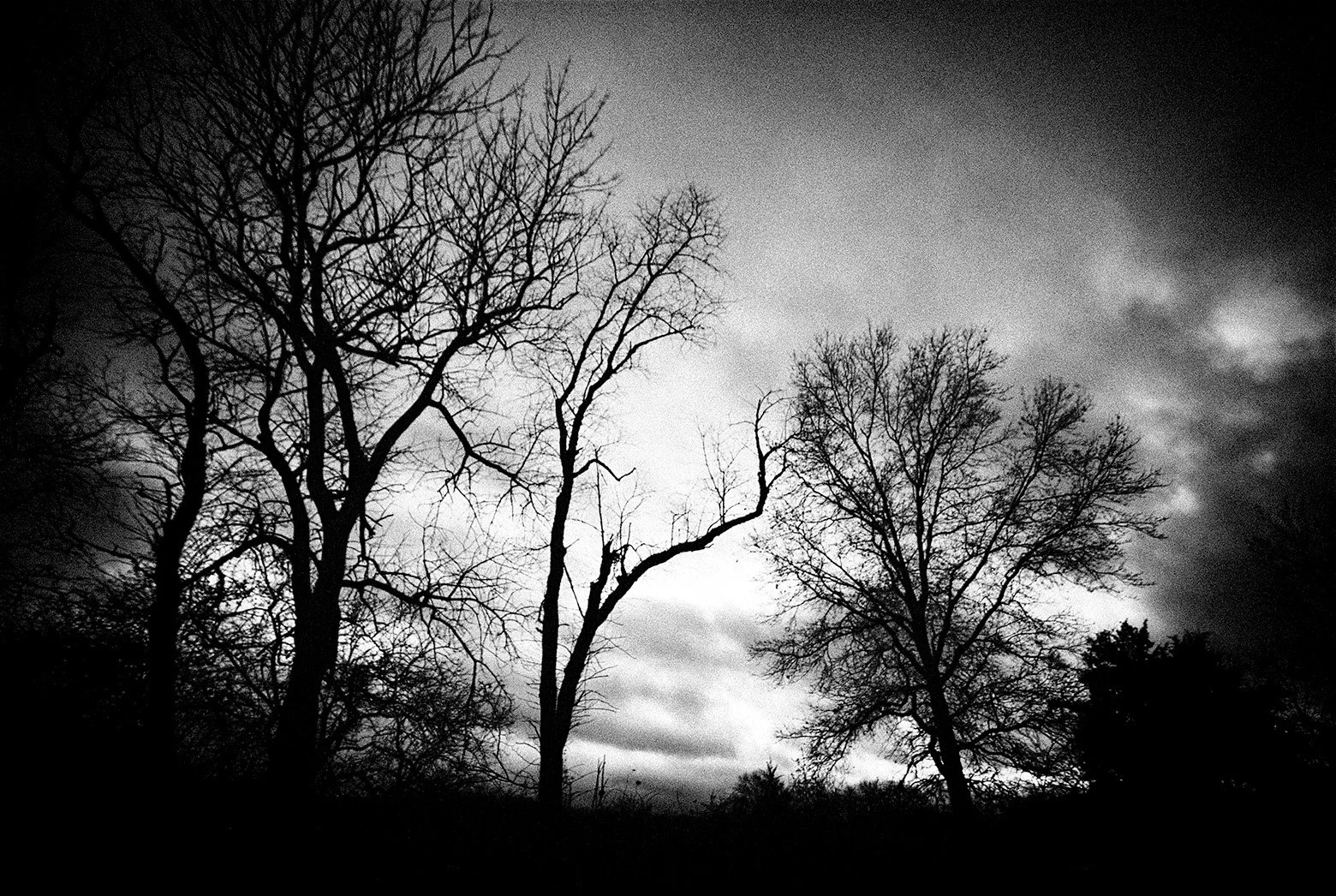 "Winter Sky", Griggstown Grasslands, 2007