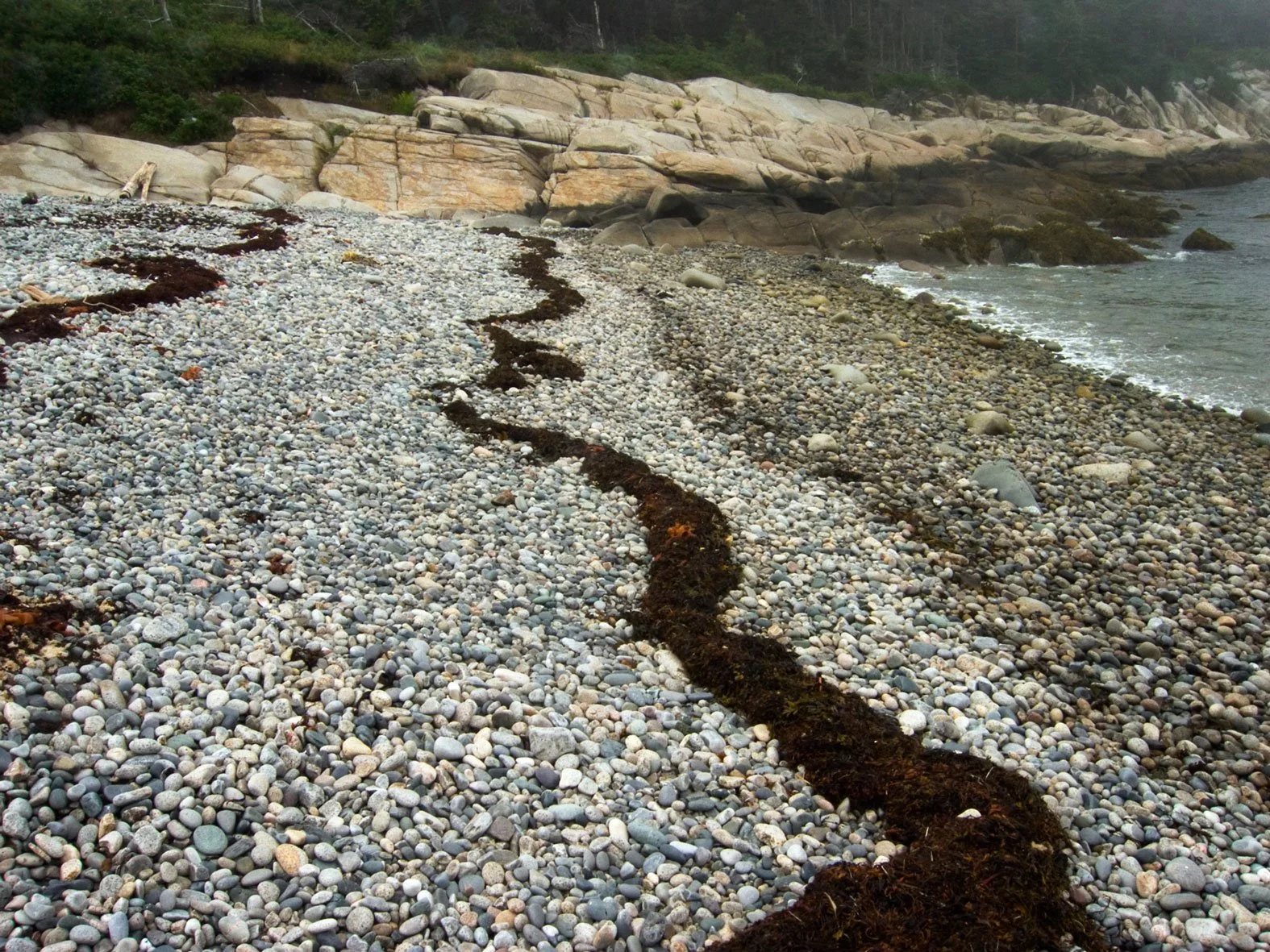 A pebble beach with a long streak of dark seaweed or algae leading towards rocky cliffs and the ocean shoreline.