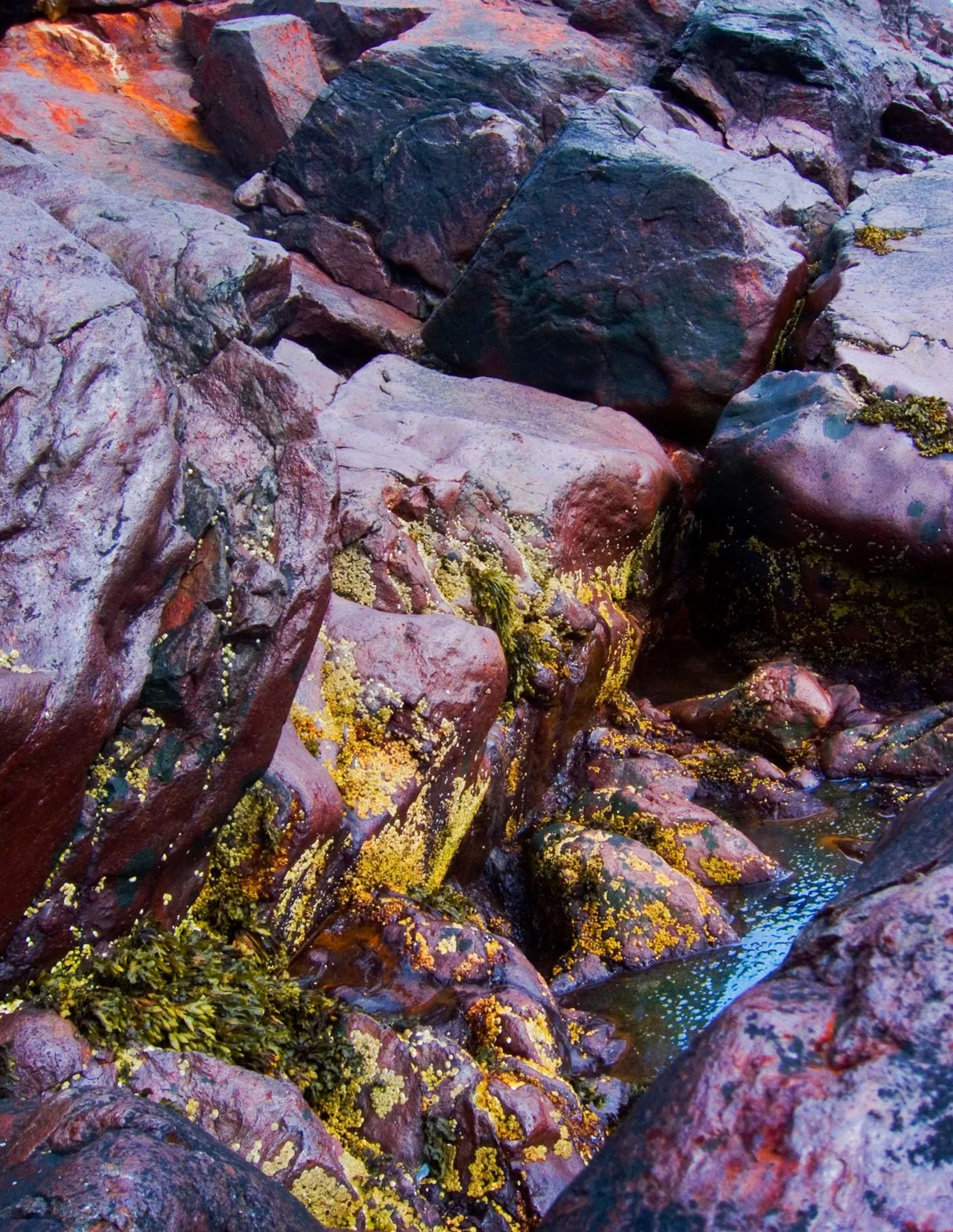 "Geological Study #1", Island of Criehaven, 2005