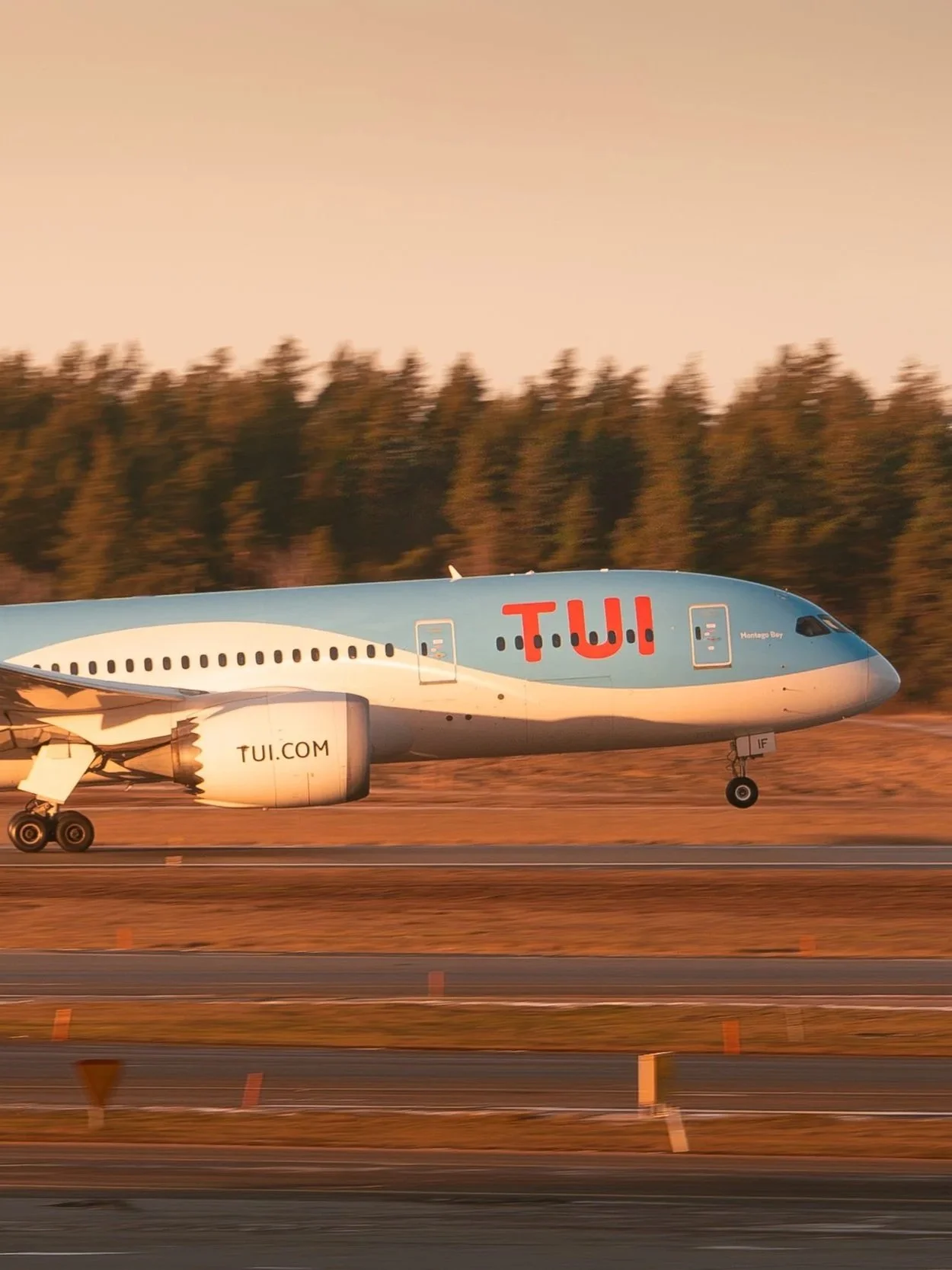 A TUI airplane is taxiing on the runway during sunset, with a forested area in the background.