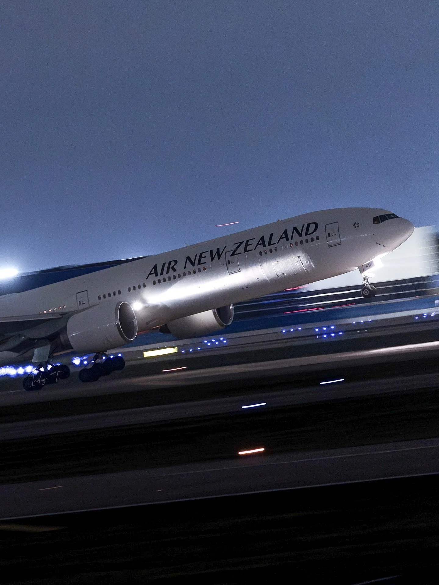 'New Zealand Nights'