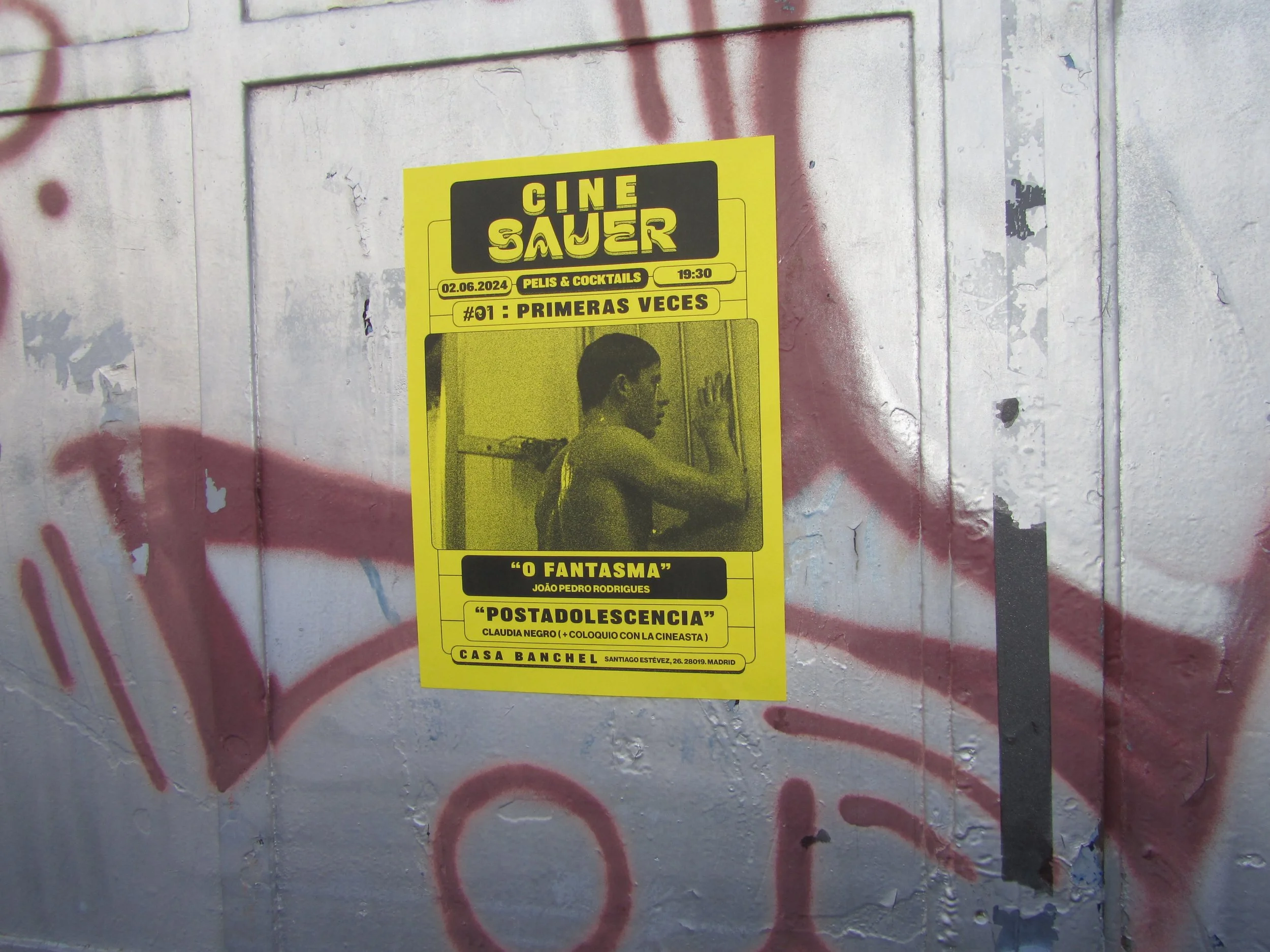 Cine Sauer