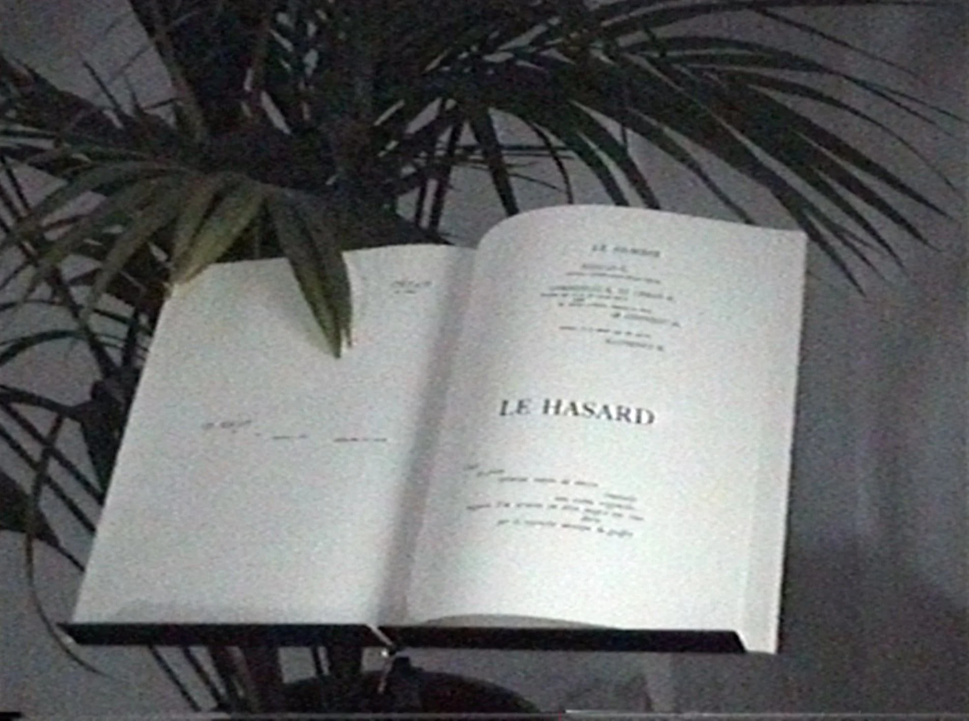 05.jpg
