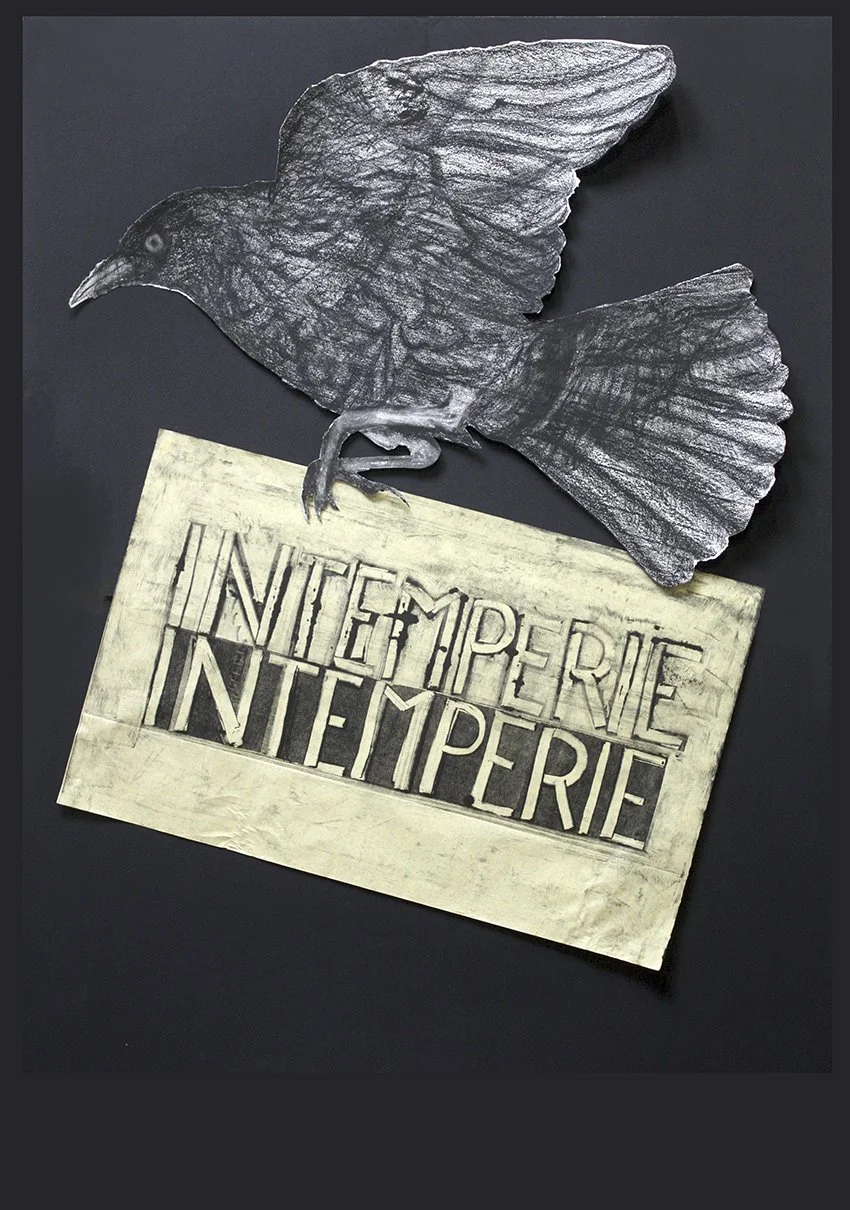Cartel pájaro intemperie.jpg