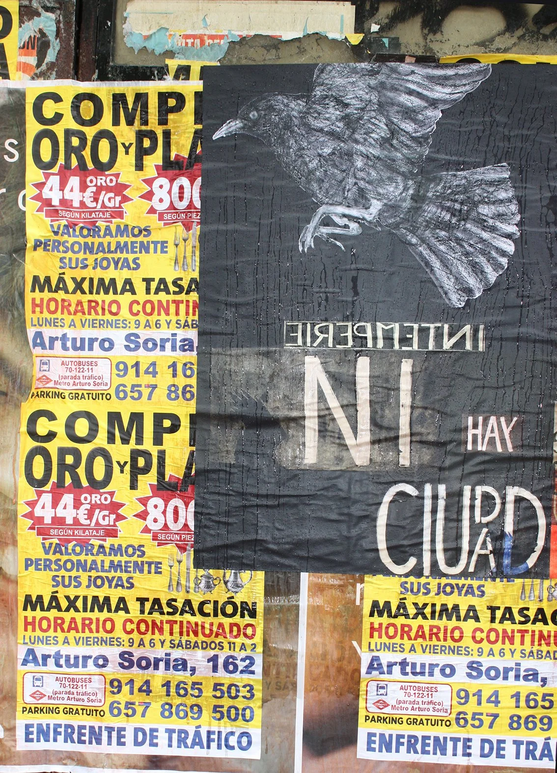 Intemperie, Laura Lio.jpg