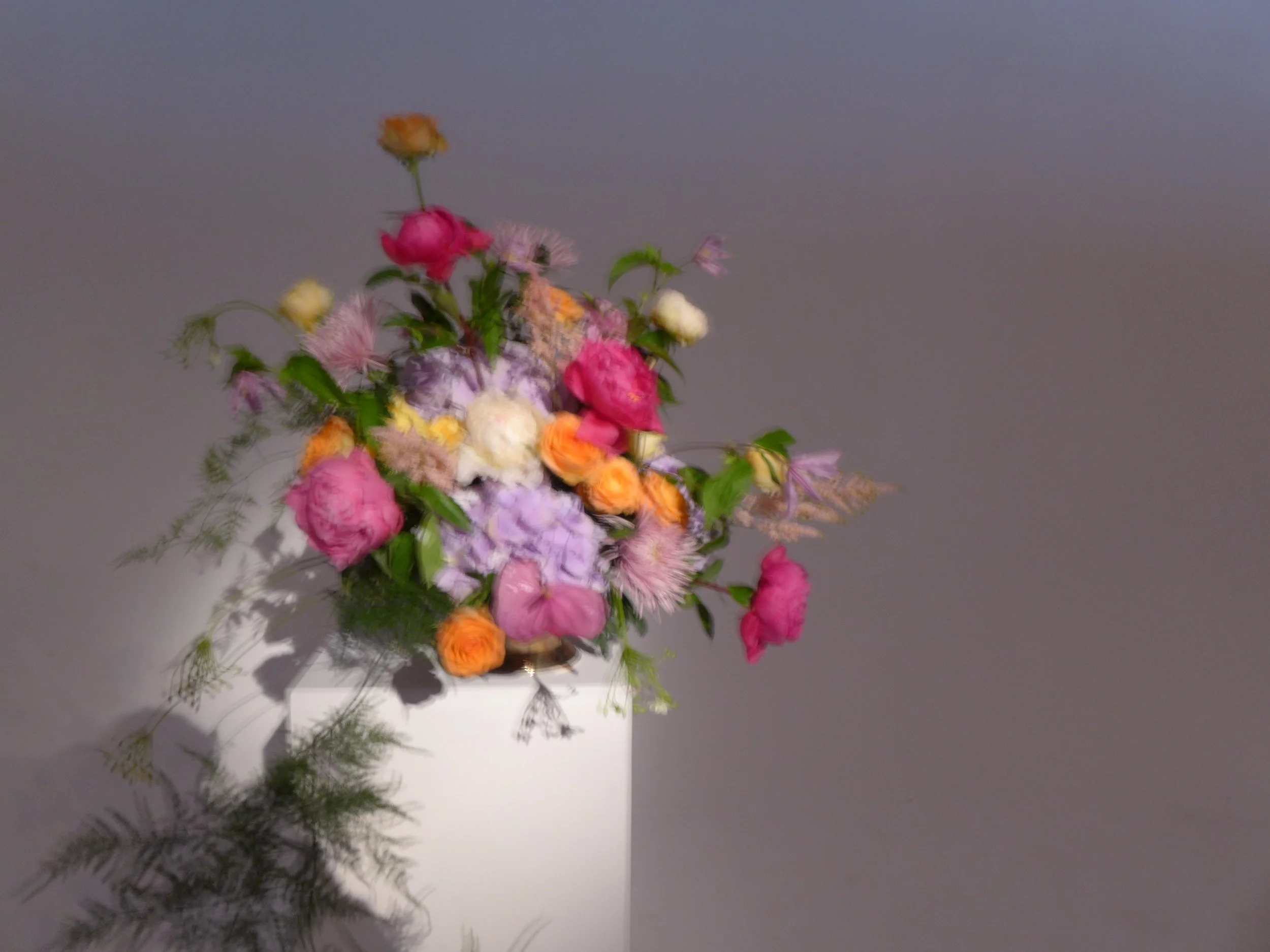 L1080483.JPG