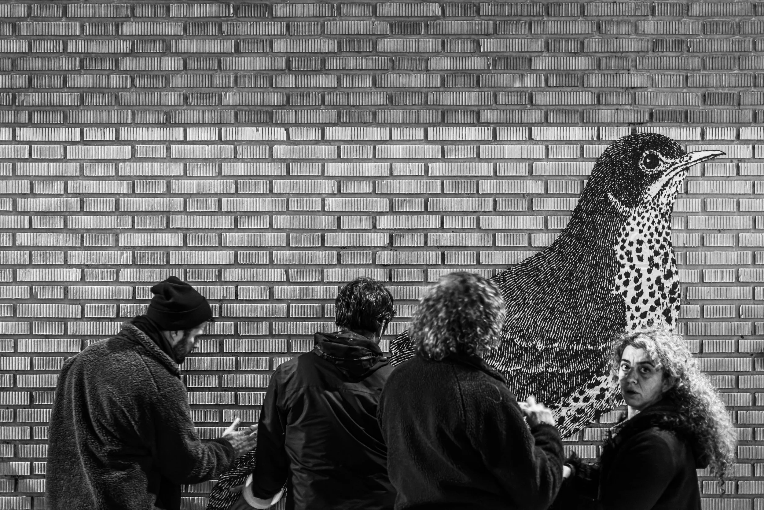 035_JC_Quindos_NIK_6367-NEF_DxO_DeepPRIME_JP.jpg