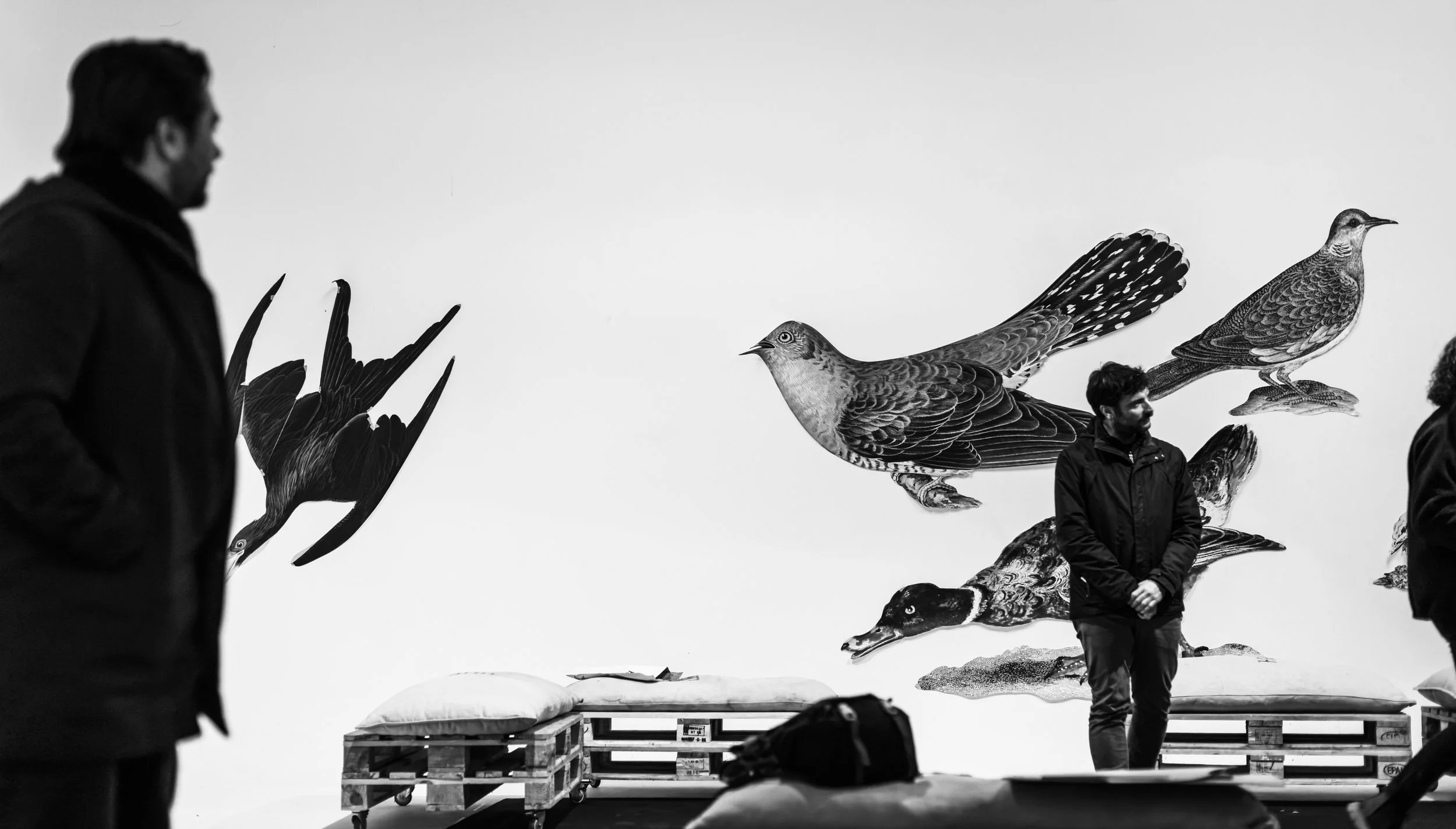 012_JC_Quindos_NIK_6260-NEF_DxO_DeepPRIME_JP.jpg