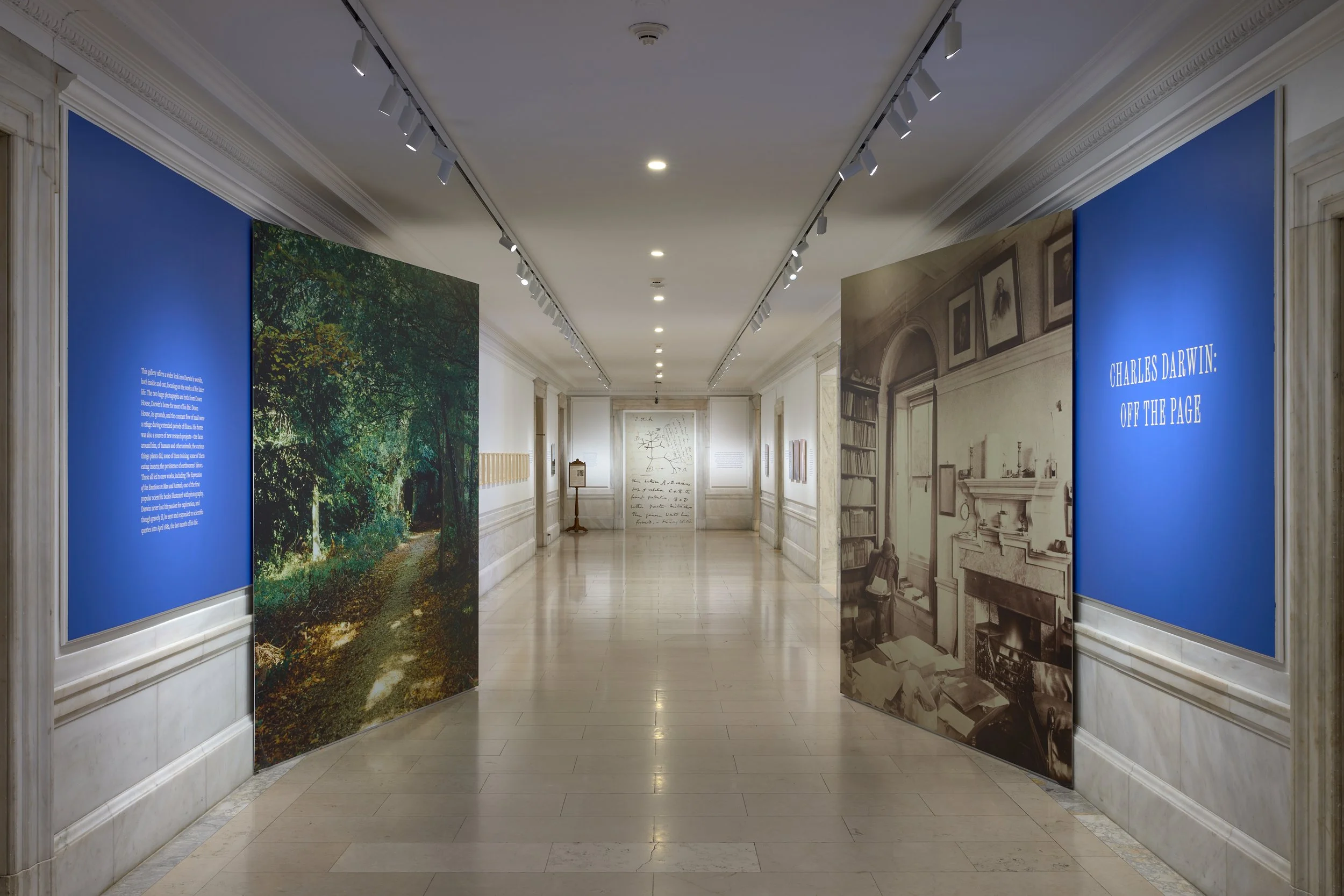 NYPL_Darwin_4.jpg