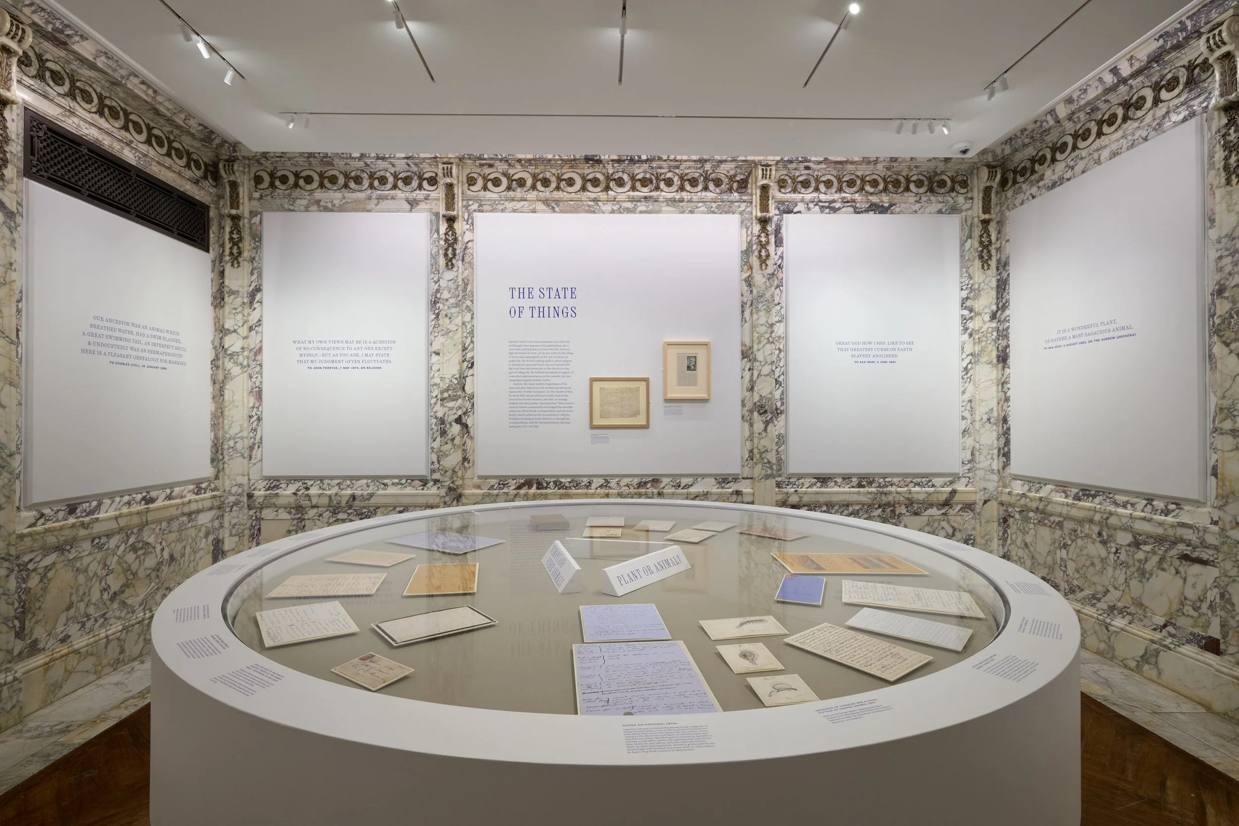 New York Public Library Darwin Exhibit
