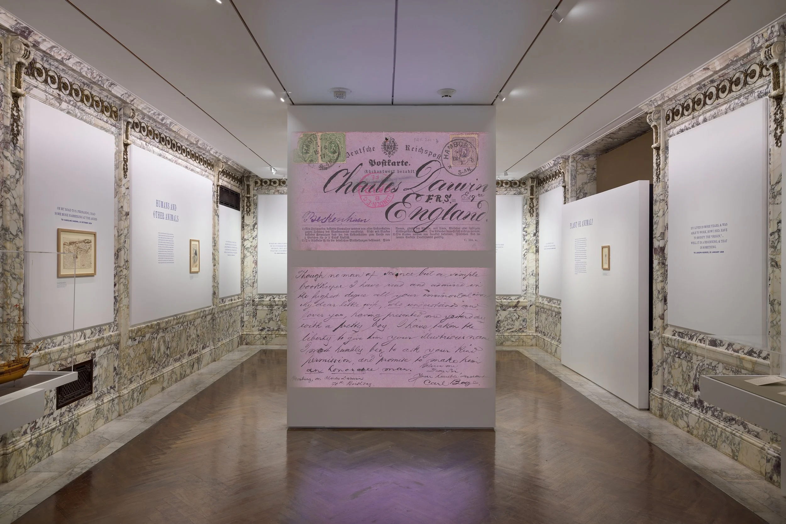 NYPL_Darwin_1.jpg
