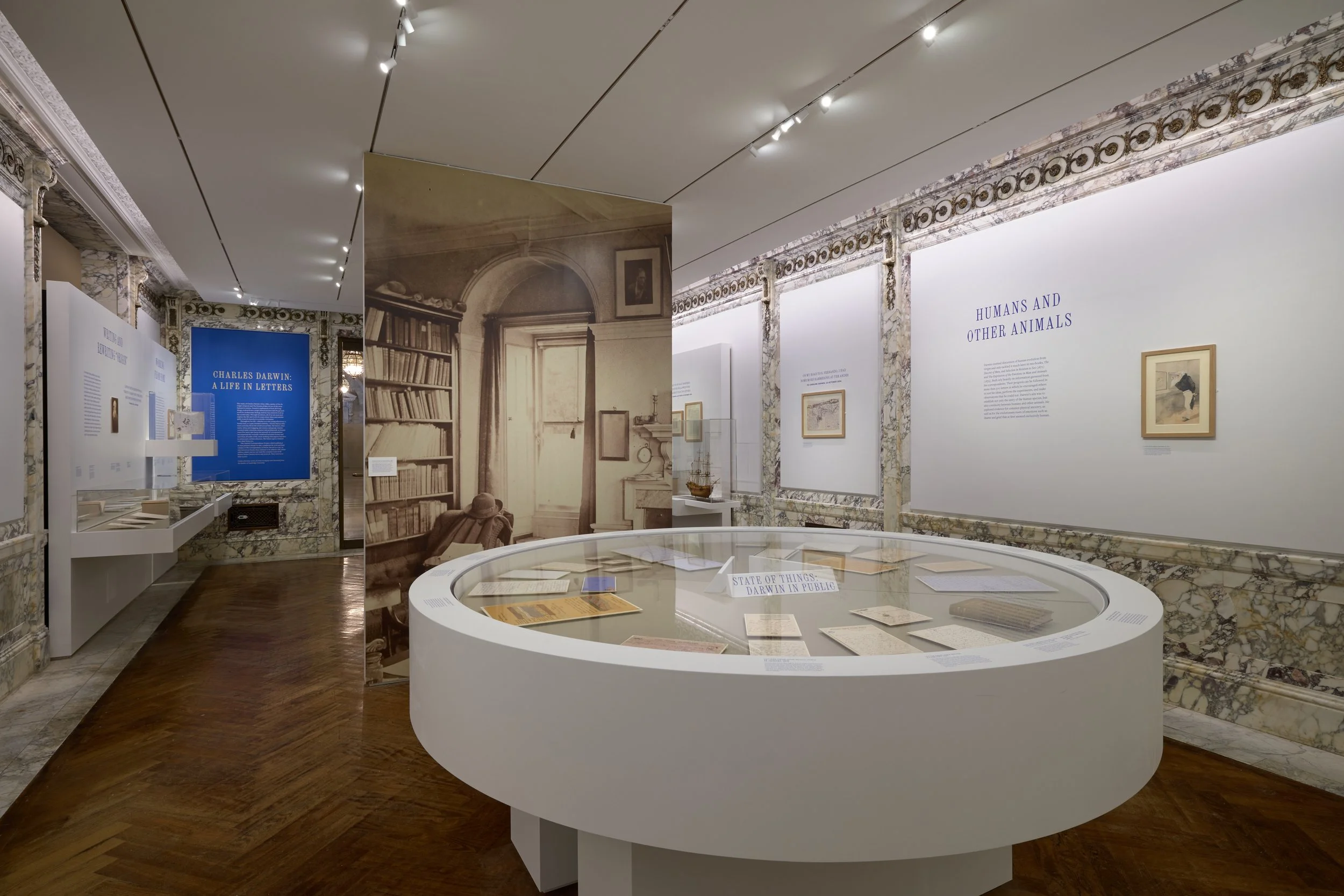 NYPL_Darwin_2.jpg