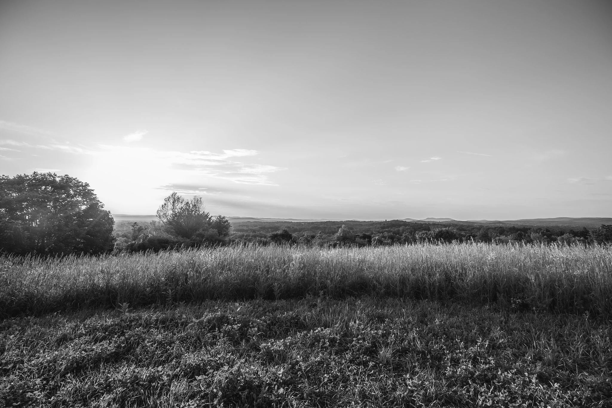 A black and white landscape photo showing a grassy field in the foreground, trees on the left, and rolling hills in the distance under a sky with some clouds.