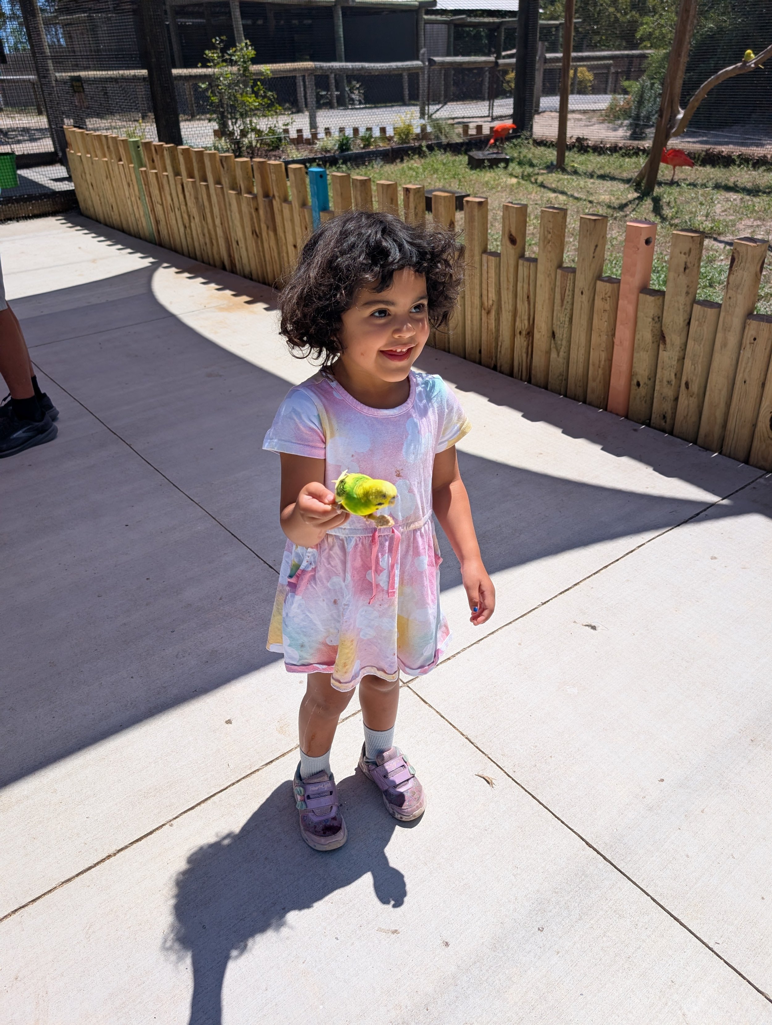 Gulf Breeze Zoo Review: Everything to Know Before You Visit