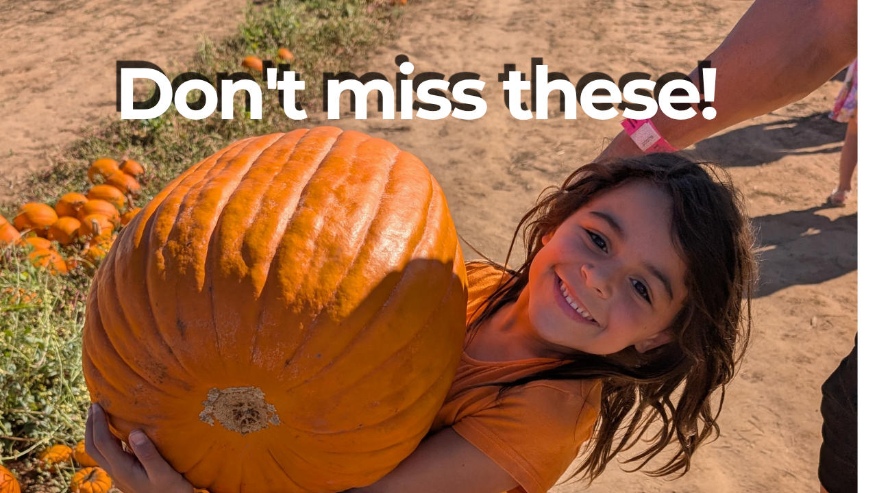 Holidays on the Emerald Coast: 7 Family Holiday Traditions to Add to Your List