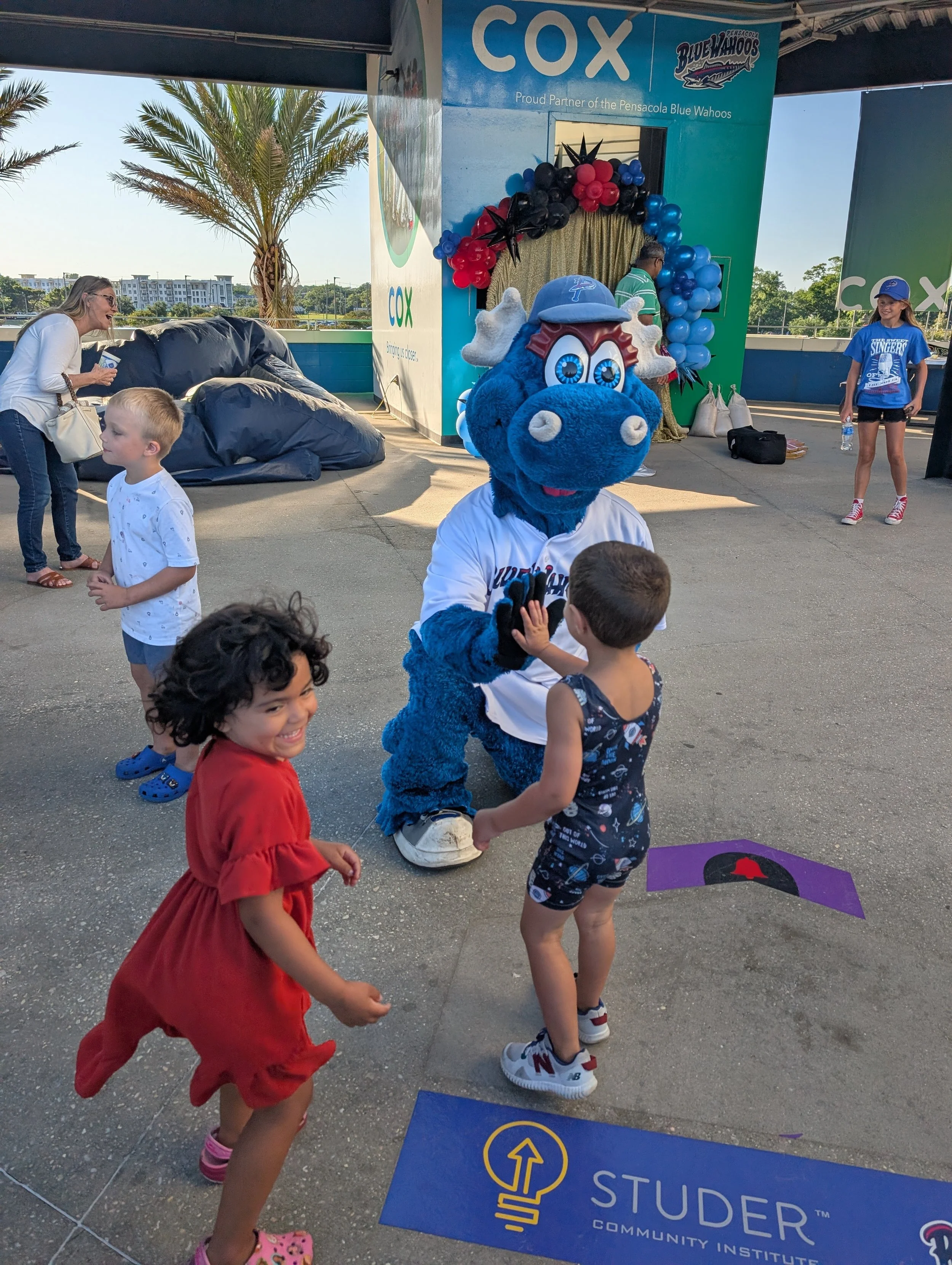 Blue Wahoos Minor League Baseball 