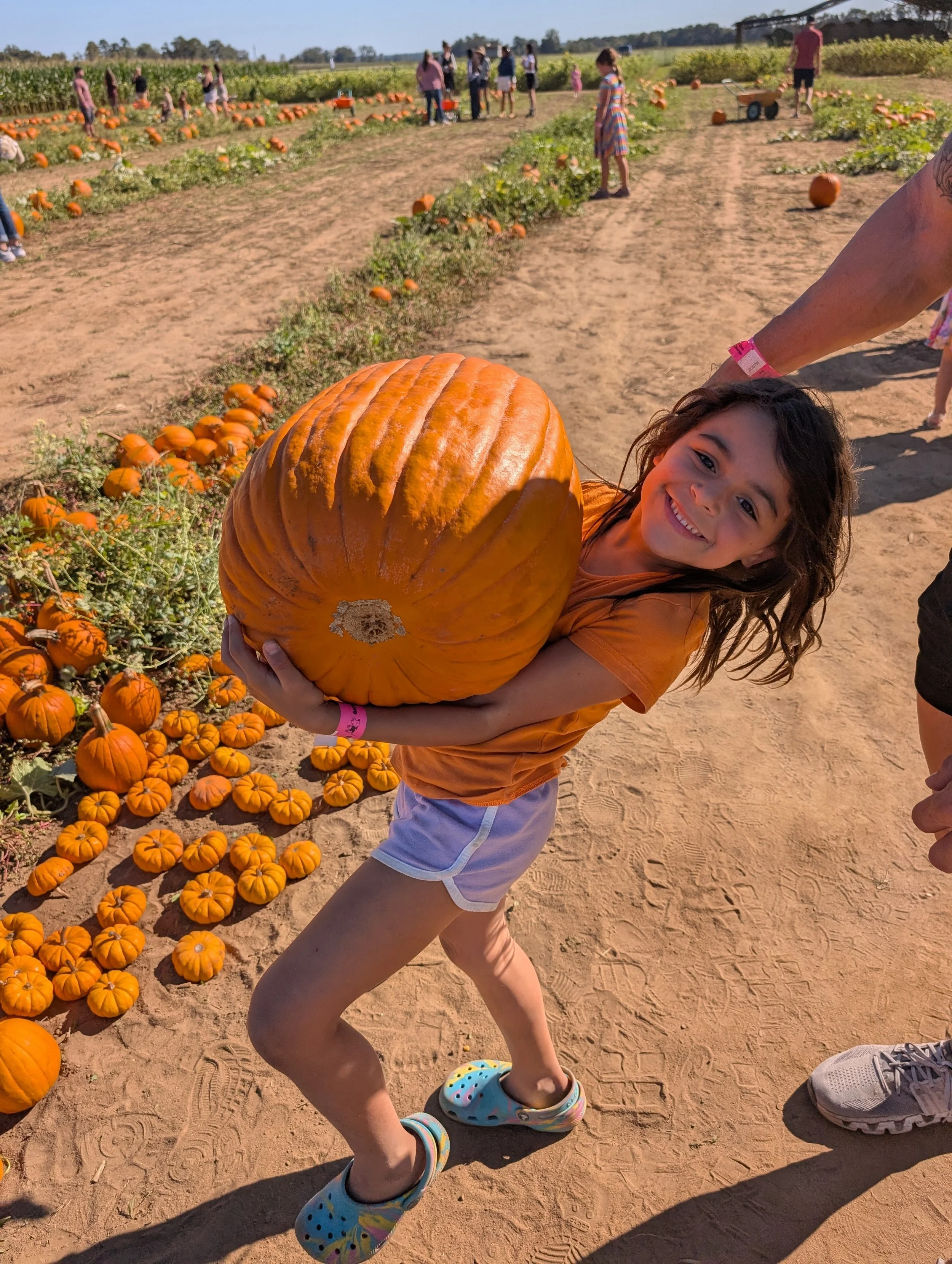 Sweet Seasons Farm, Milton