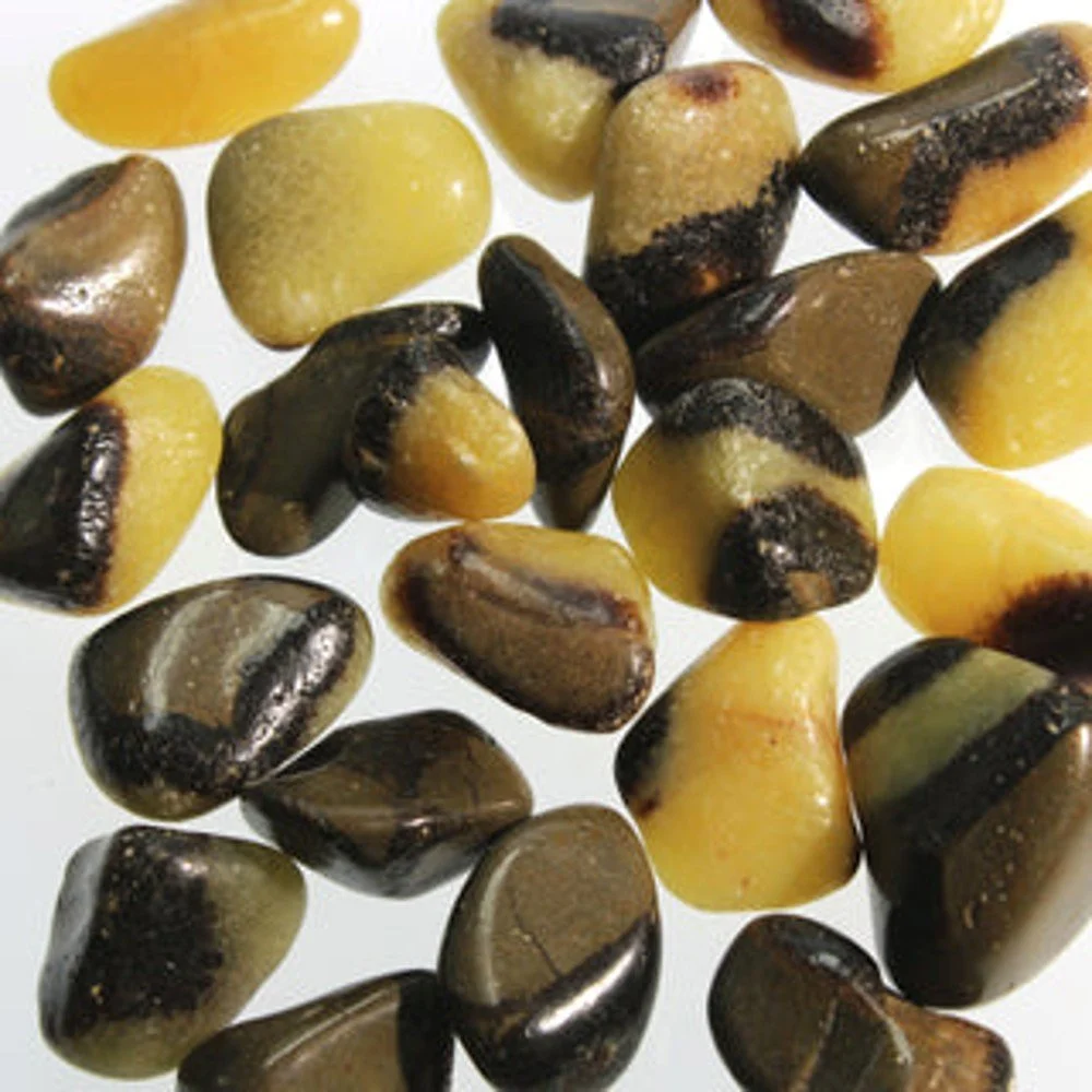 Septarian.jpg