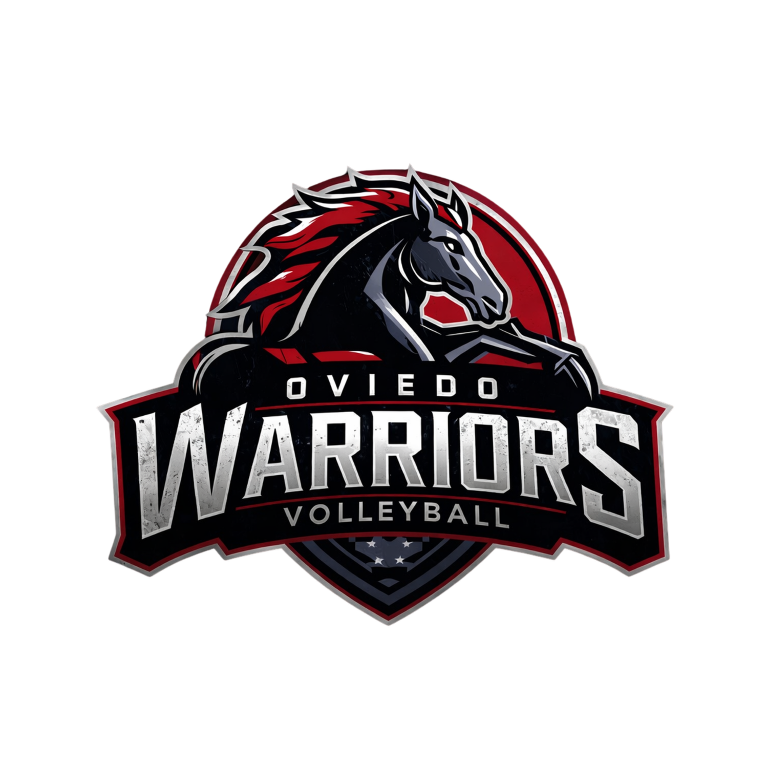 VLA Warriors Volleyball