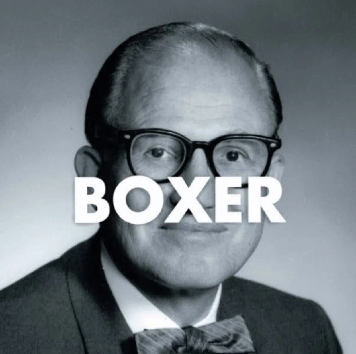 Boxer