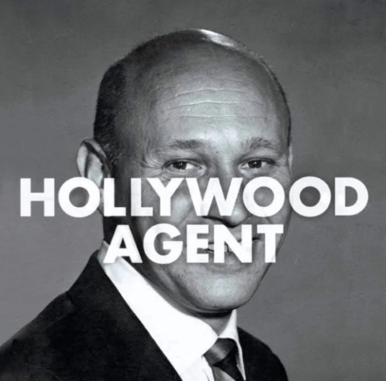 Hollywood Agent