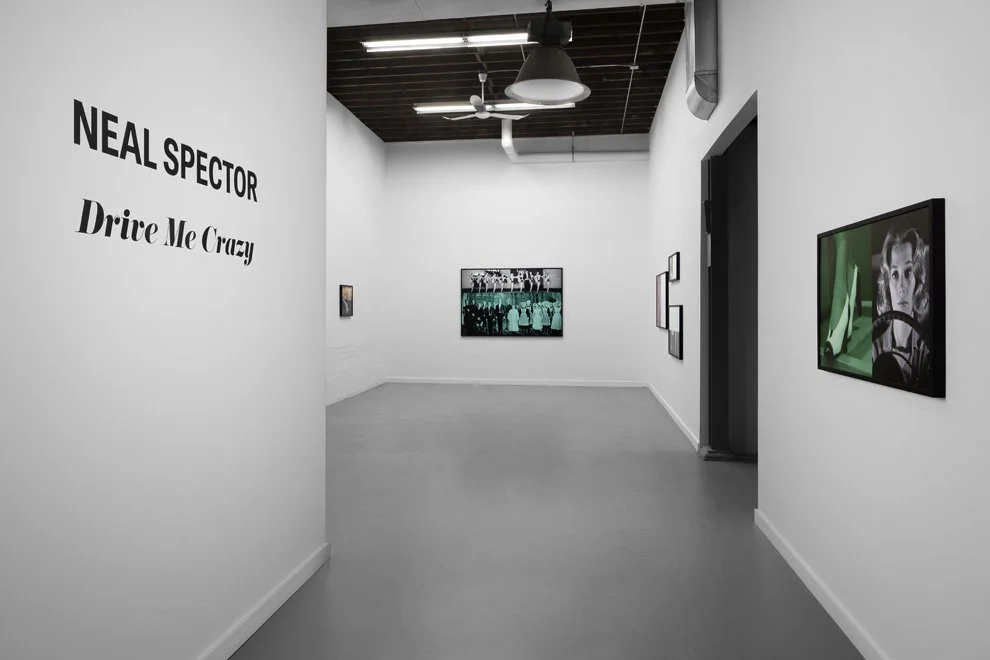 Installation view of Neal Spector's Drive Me Crazy at Wasserman Projects, Detroit, 2026