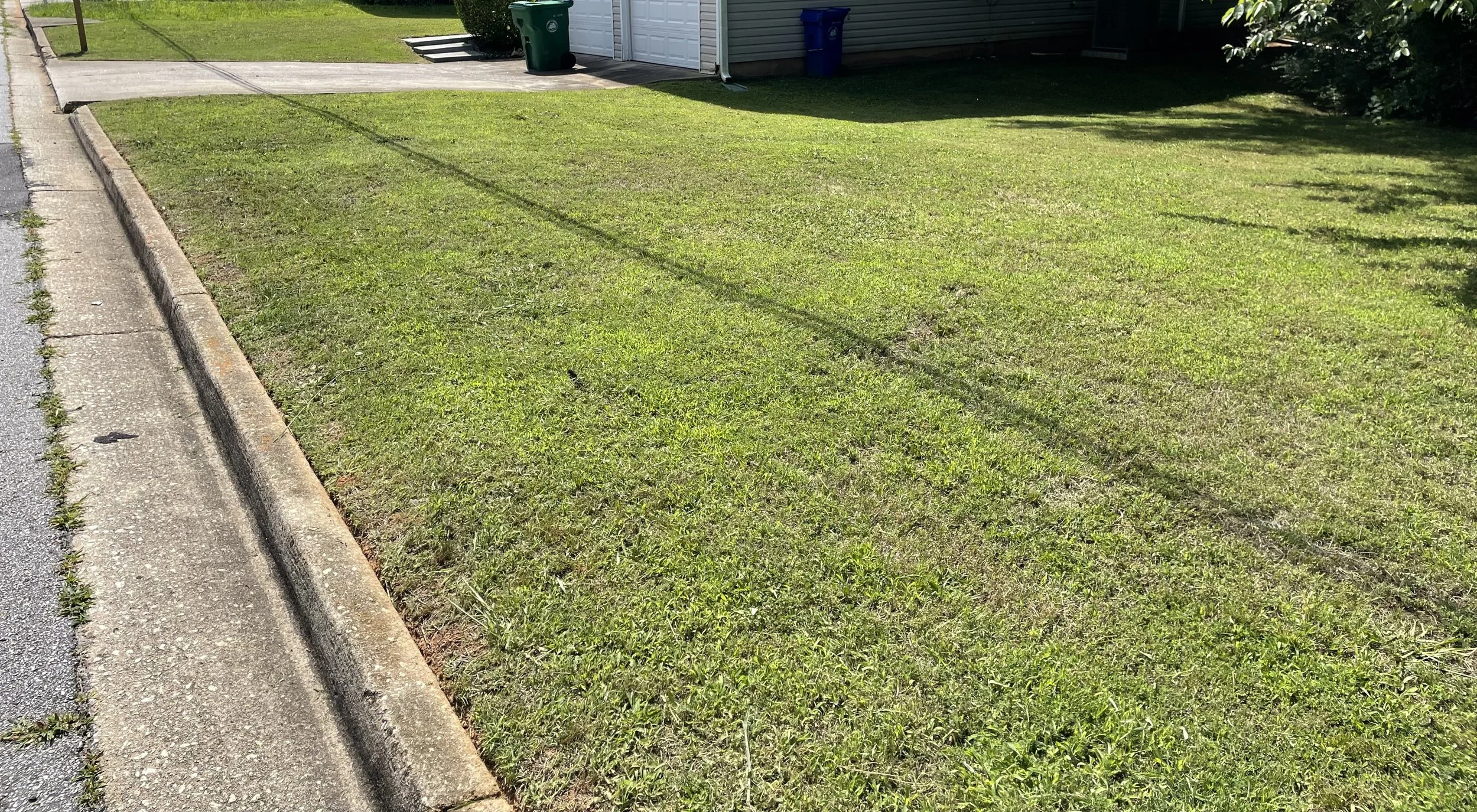 A backyard with well-maintained grass, a sidewalk alongside the street, and a house with trash bins near the garage. Shadows of trees are cast on the grass.
