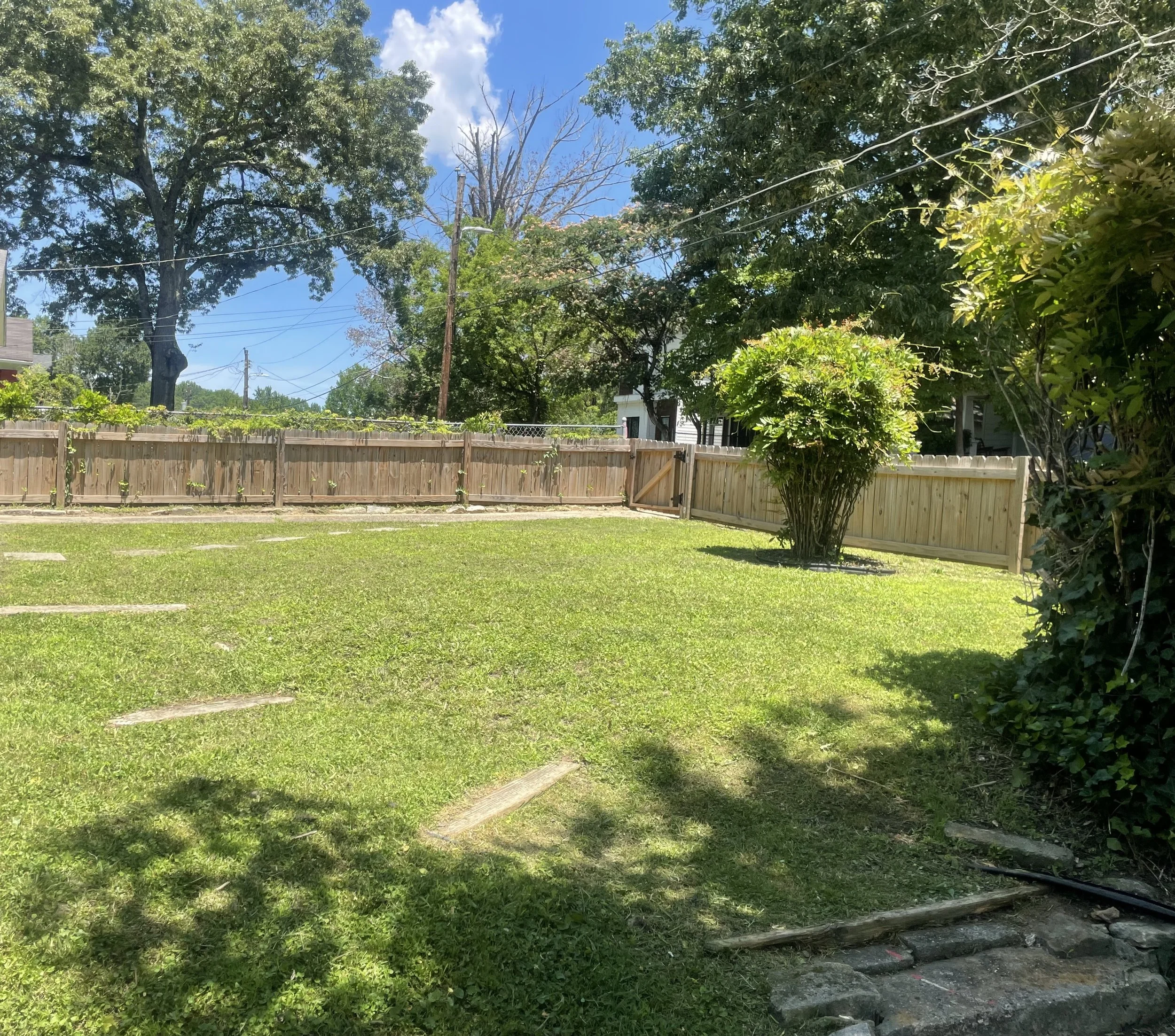 A backyard lawn with a six-foot wooden fence, trees with green and brown leaves, and a partly cloudy blue sky.