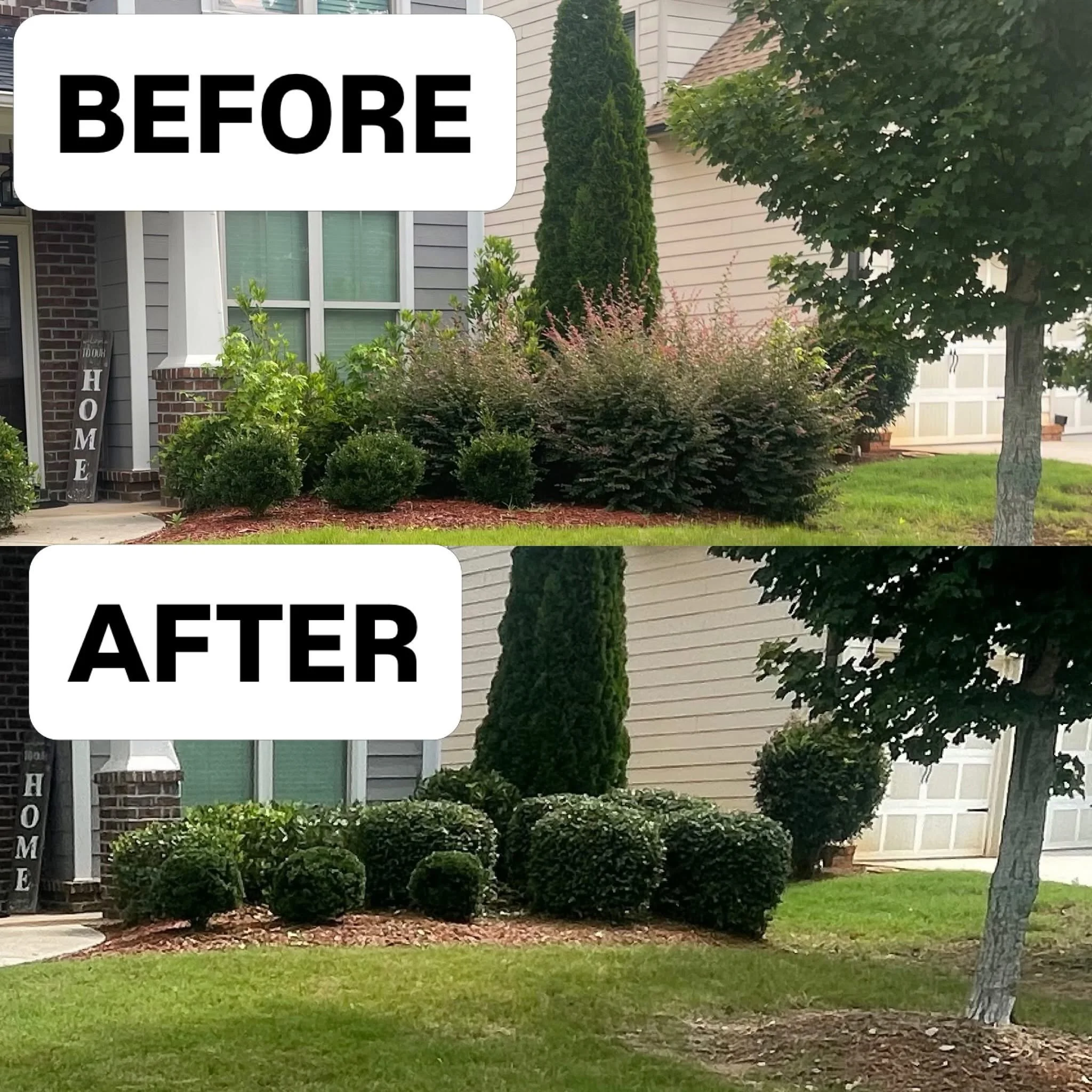 Side view of a house's front yard with a variety of bushes, trees, and a sidewalk, with a 'Home' sign near the door.