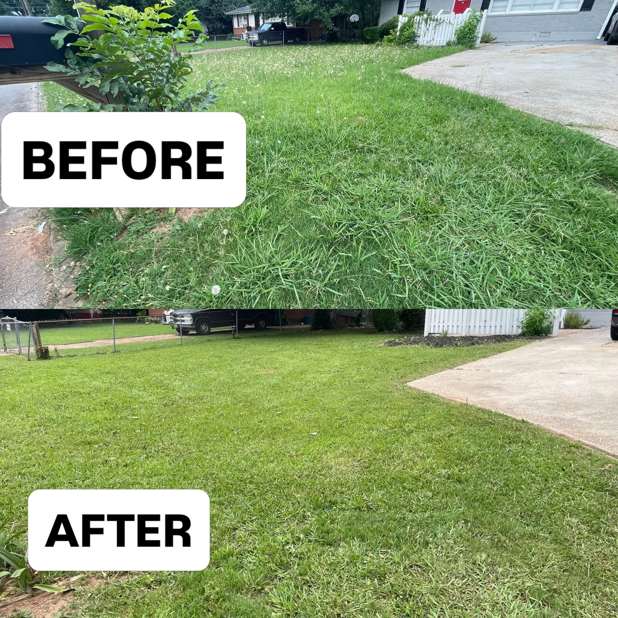 Comparison of a yard's condition before and after landscaping work, showing overgrown grass and weeds in the 'Before' image, and a well-maintained lawn in the 'After' image.