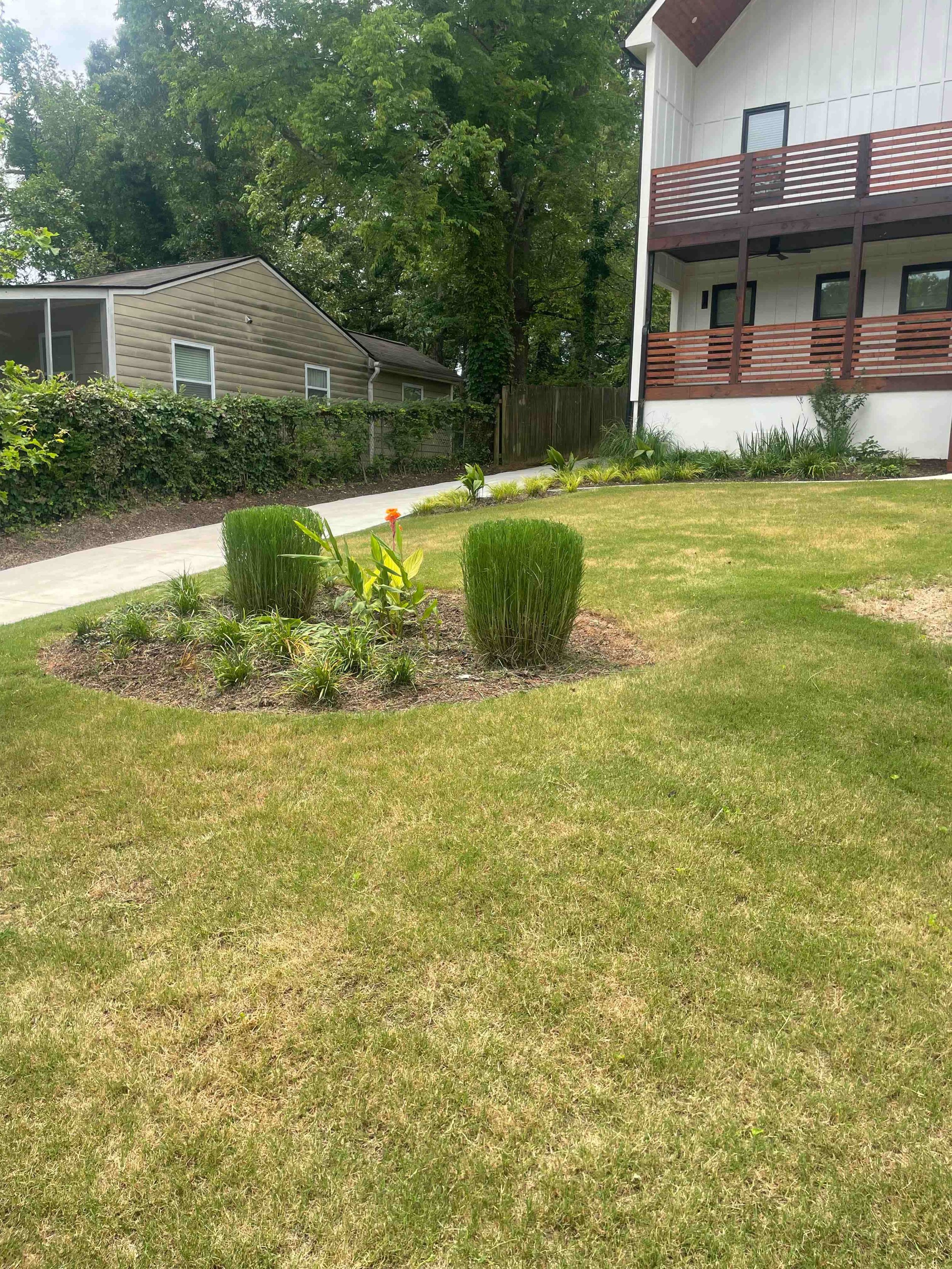 A backyard lawn with green grass, a garden bed with small plants and bushes, a concrete sidewalk, a beige shed with a sloped roof, a wooden fence, tall trees, and part of a white house with red wooden balconies.