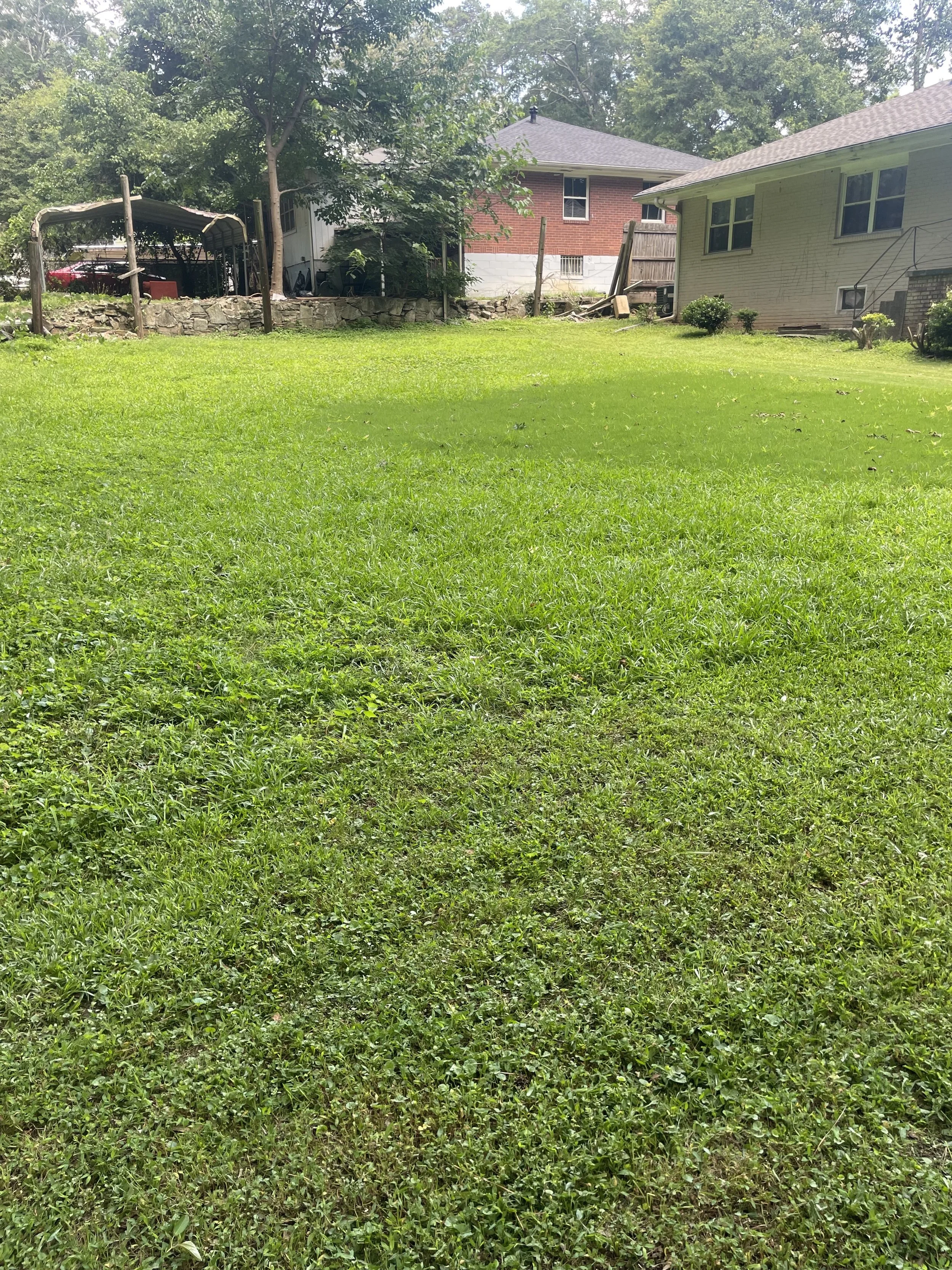 A grassy backyard lawn with a stone wall in the background, trees, and houses visible in the distance.
